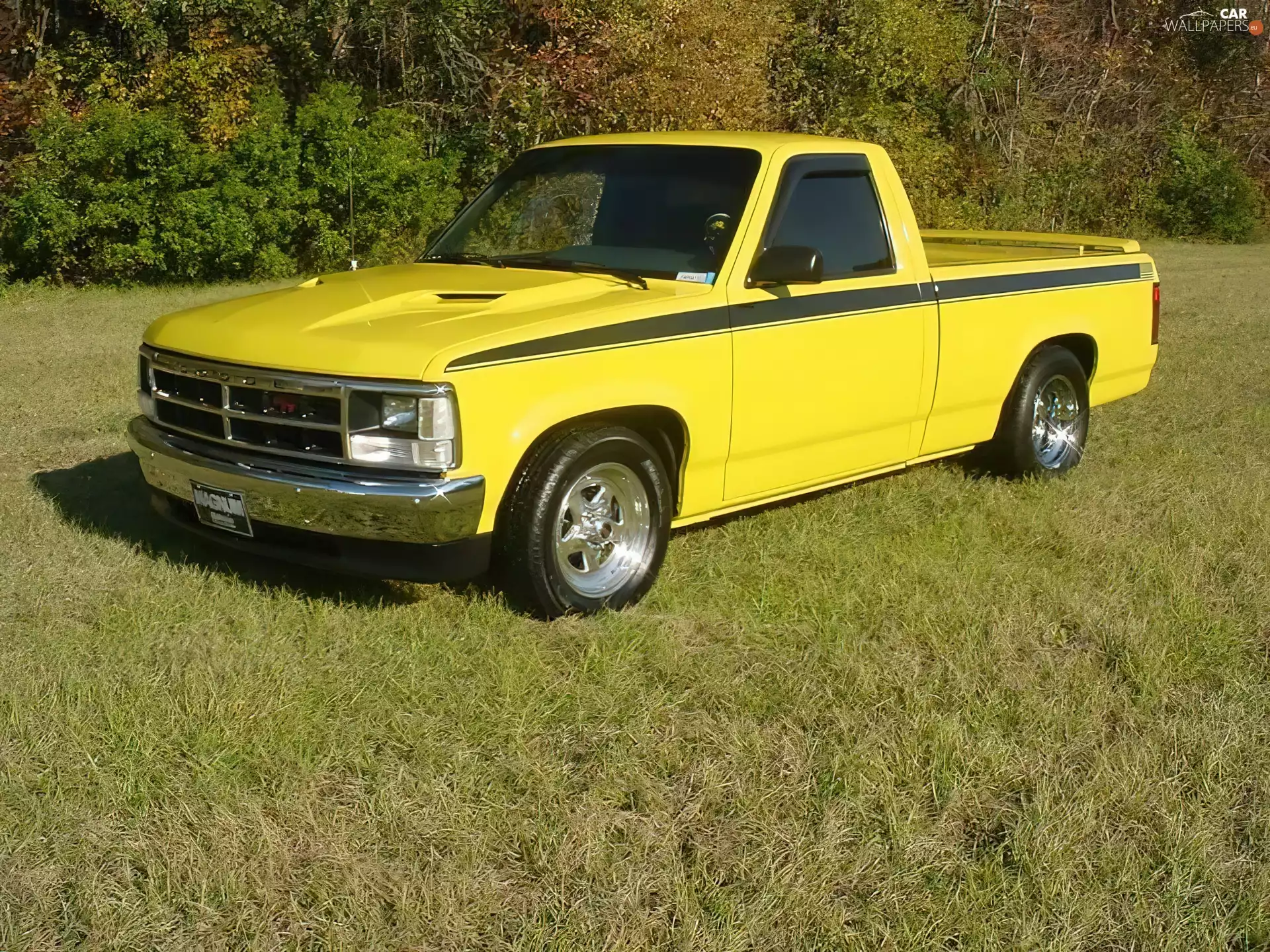 Pick-Up, Yellow, Dodge Dakota