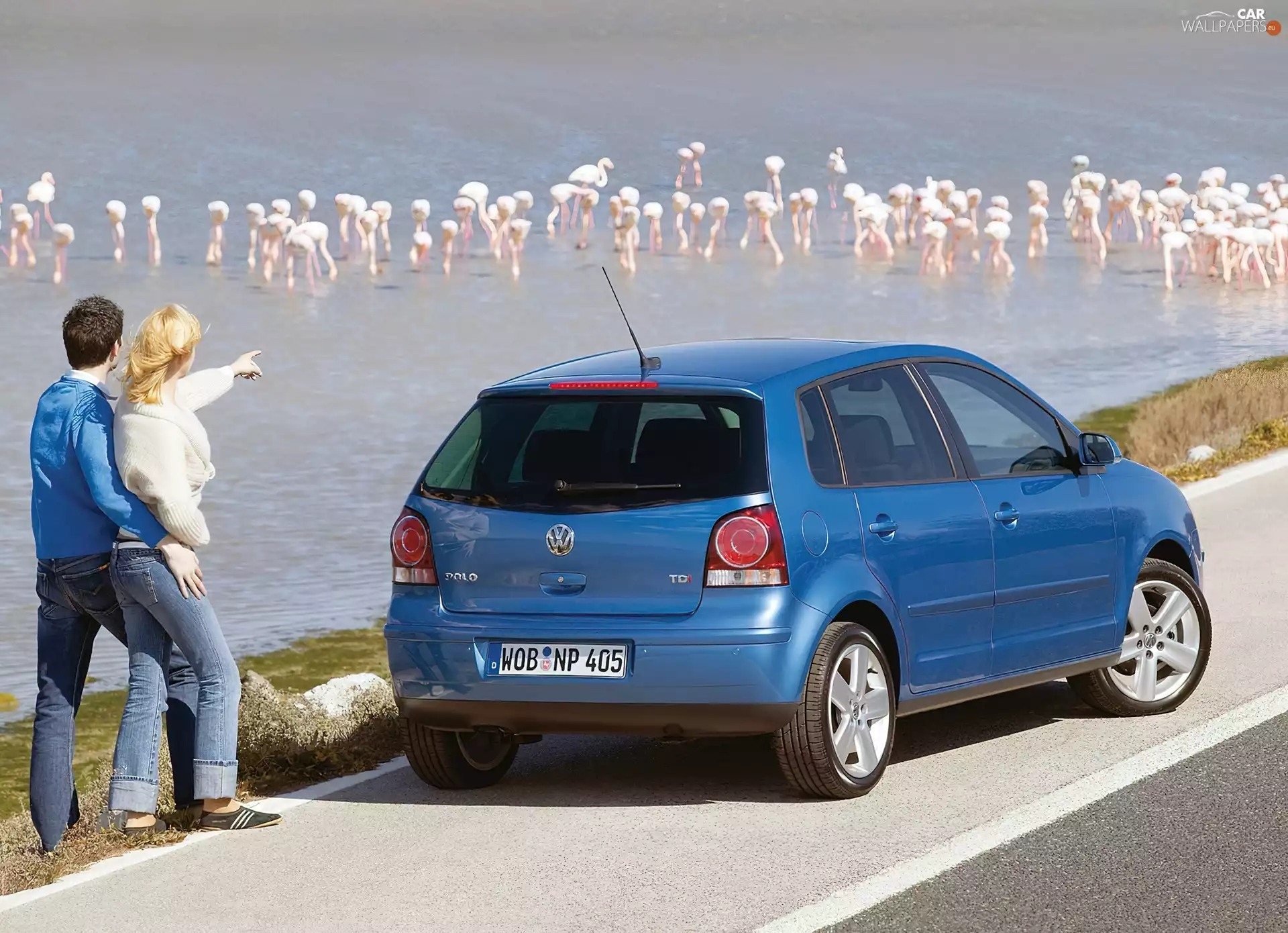 Hatchback, Volkswagen Polo, urban