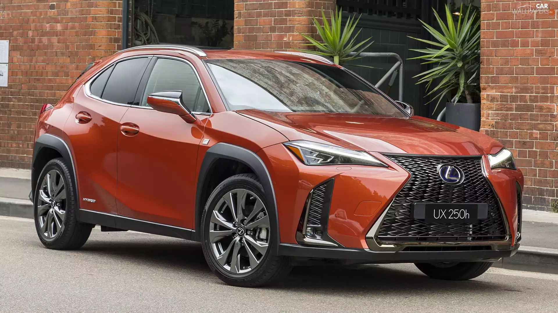 Lexus UX, ##, Red, Hybrid