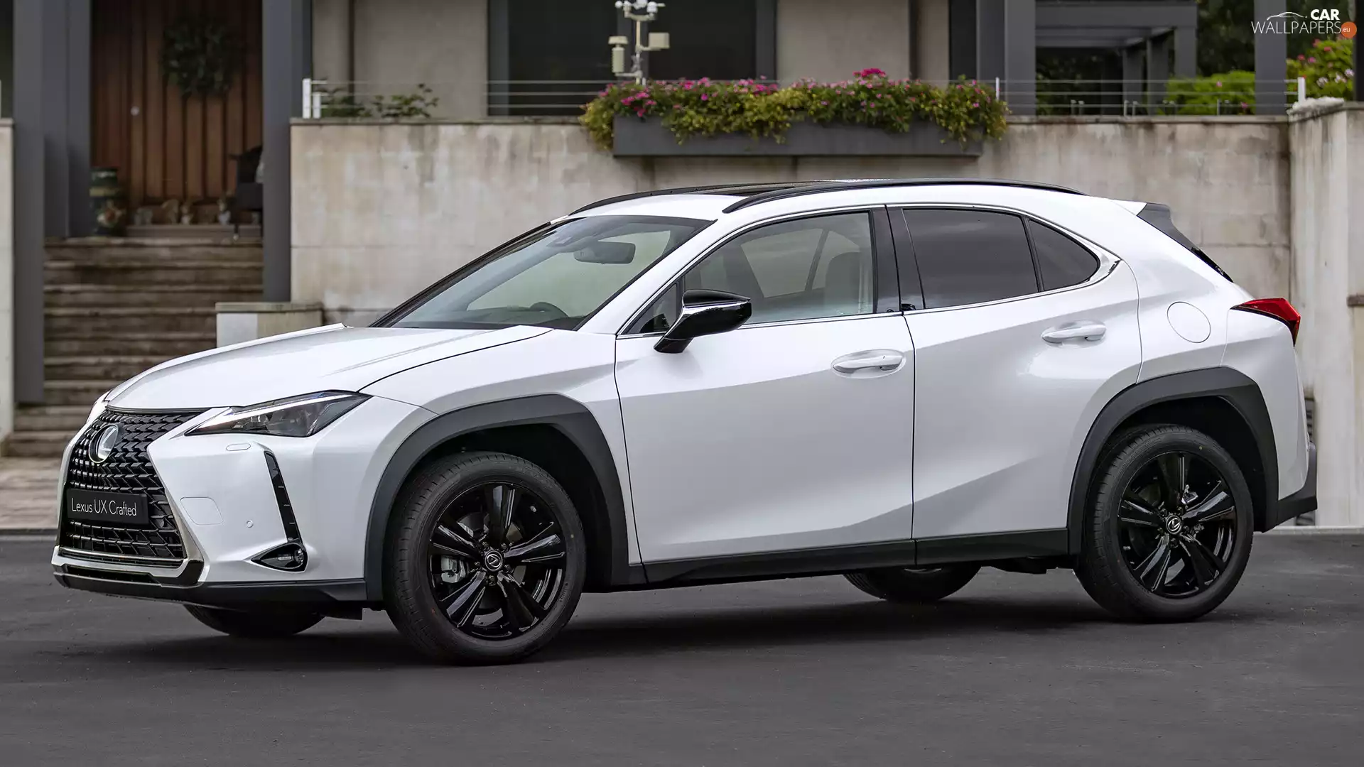 side, White, Lexus UX