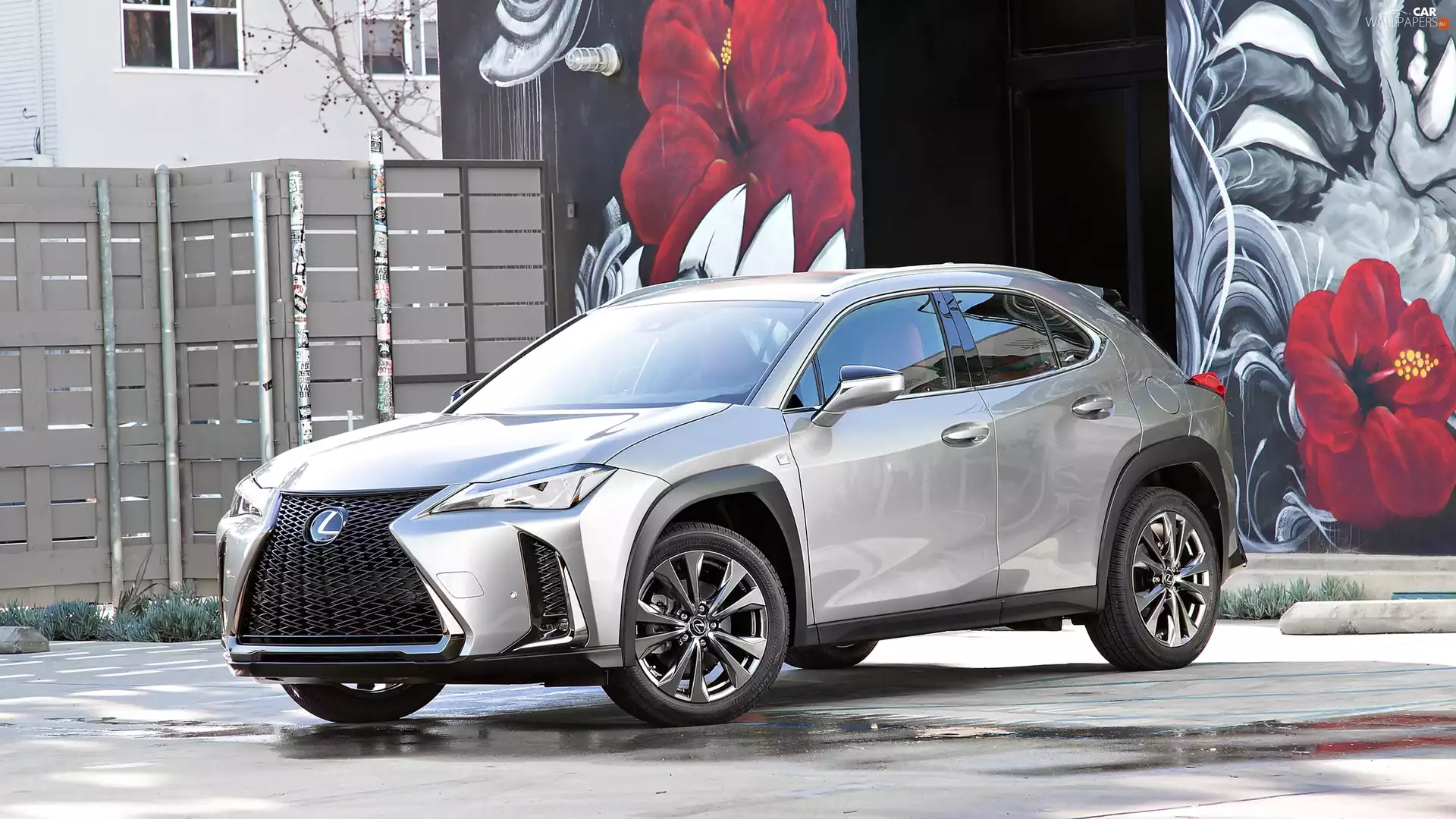 Lexus UX200, Coloured, wall, fence