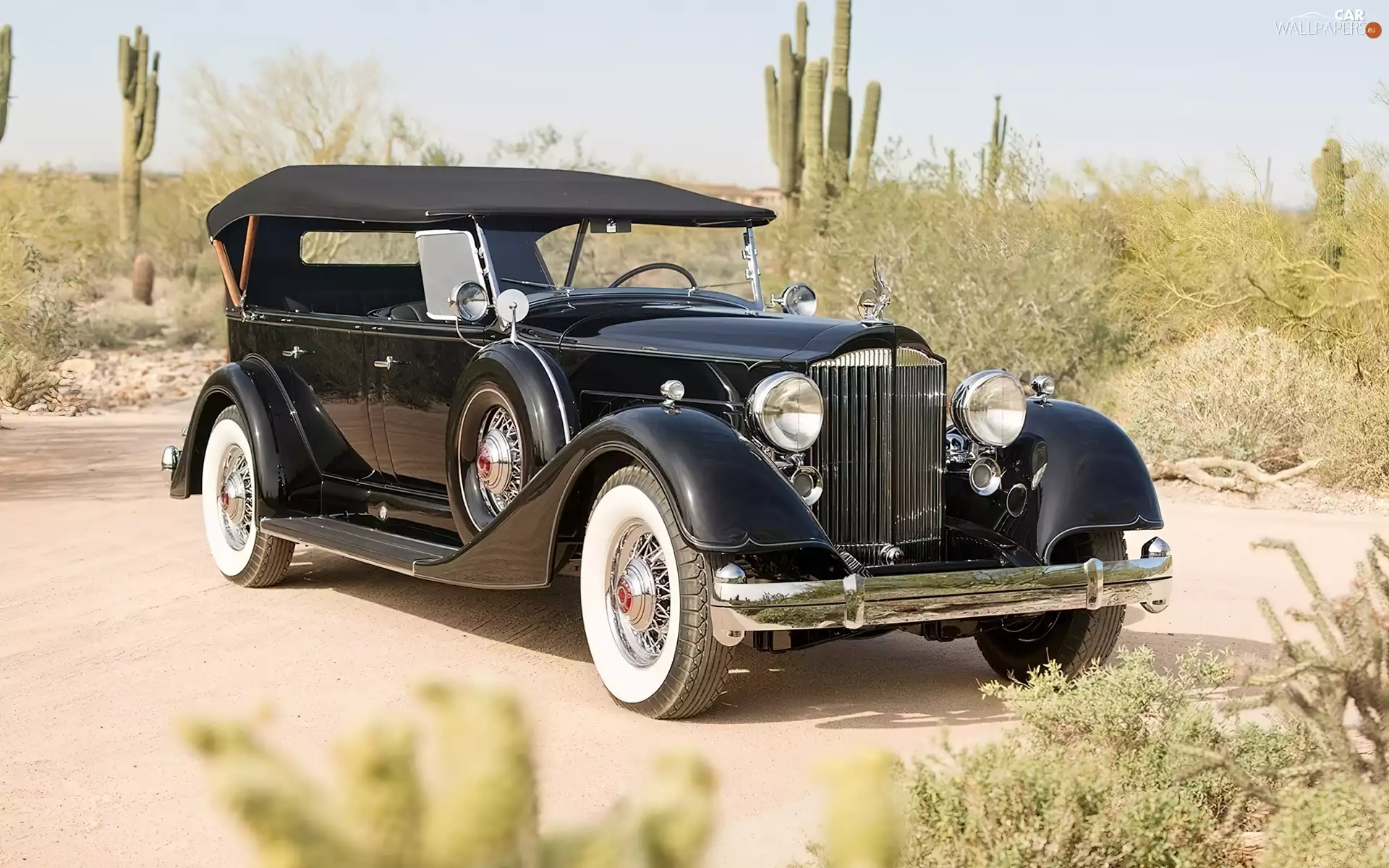 Cadillac V 12, Automobile, antique