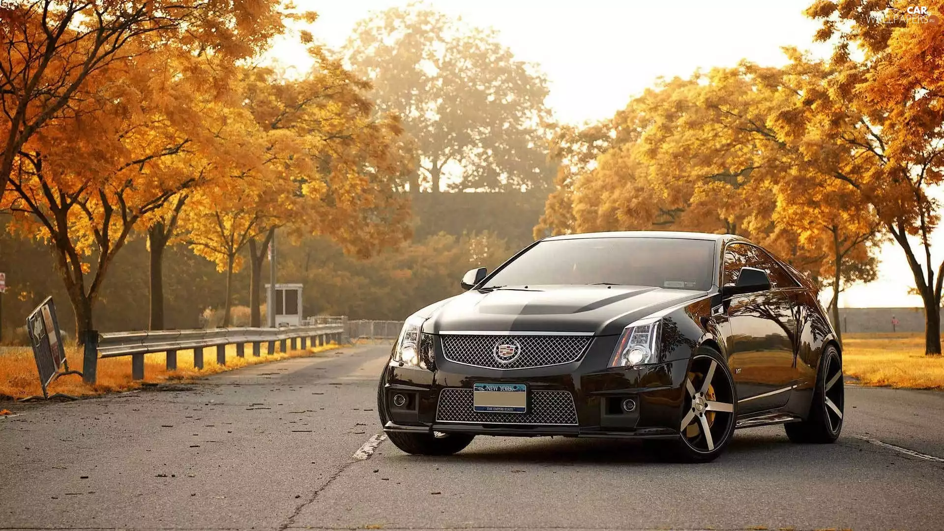 viewes, Way, CTS-V, trees, Cadillac