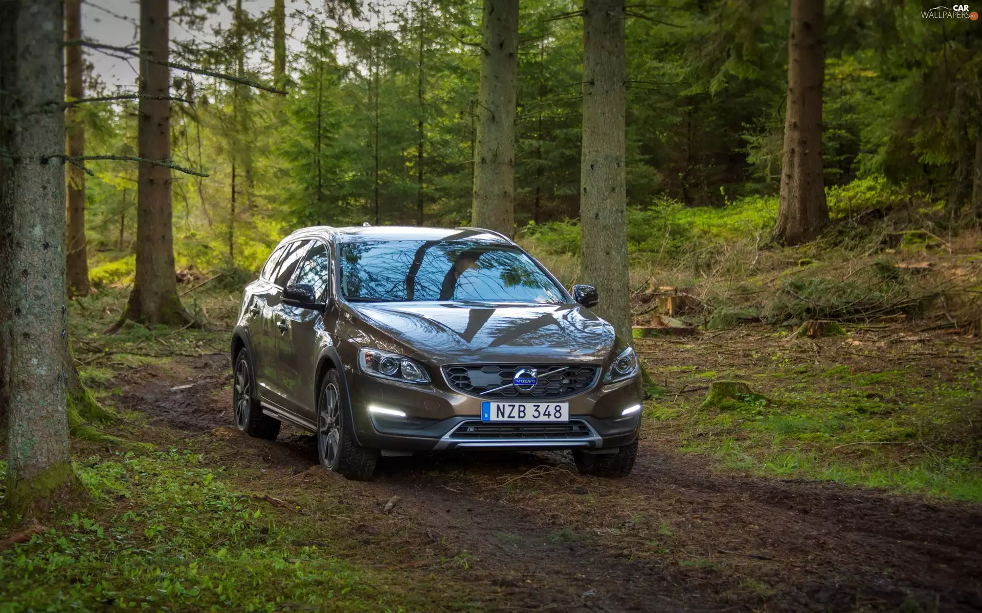 forest, Automobile, Volvo V60