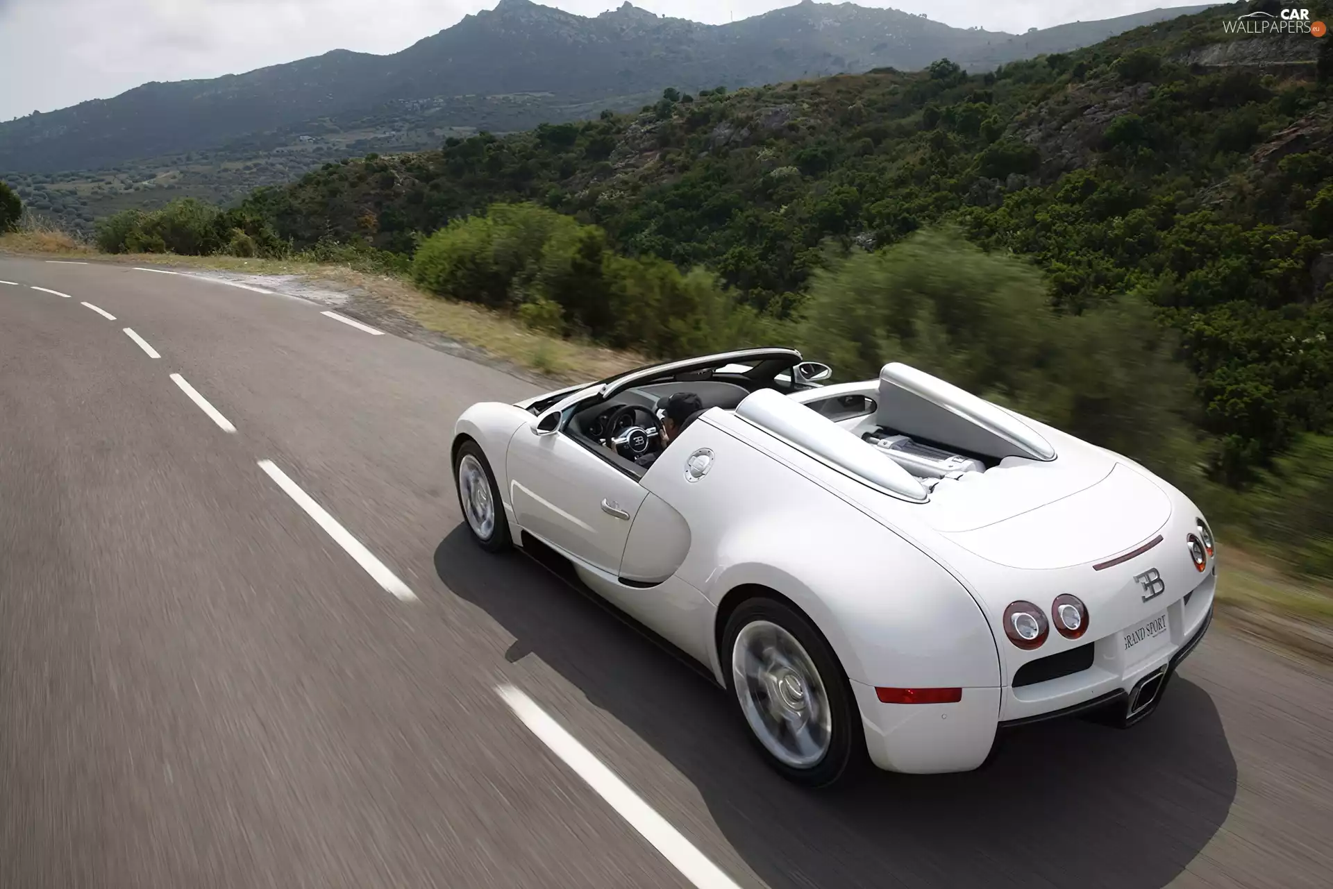 Cabrio, White, Bugatti Veyron