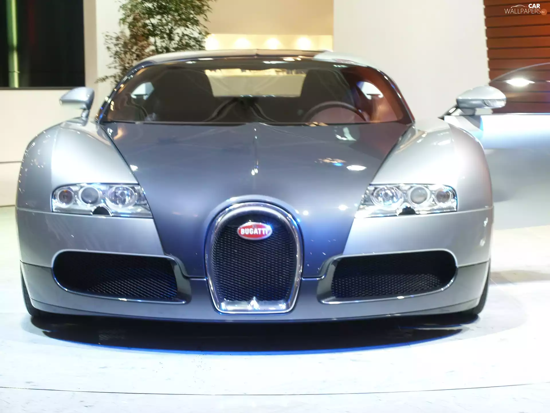 Bugatti Veyron, Front, silver, light