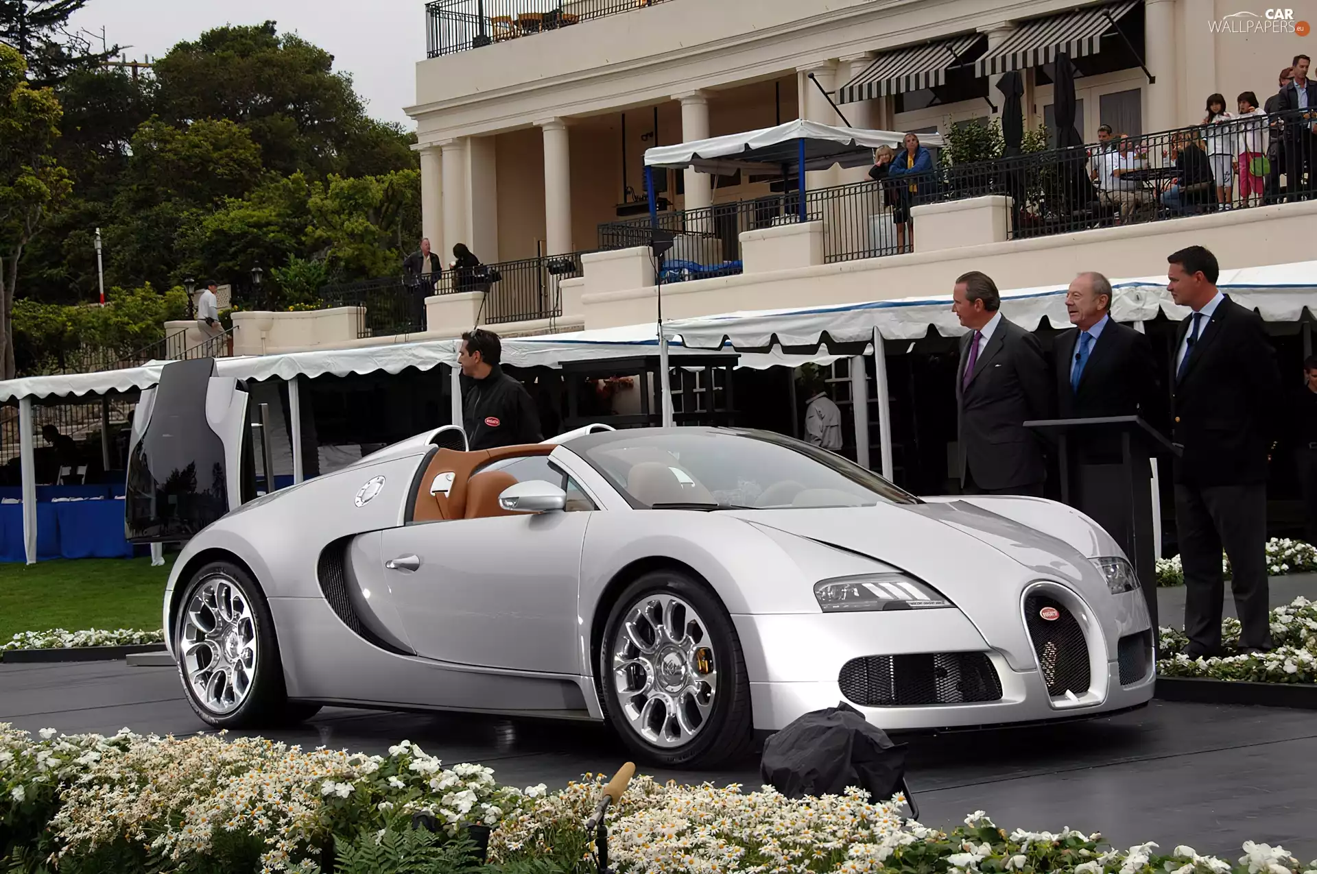 silver, Cabriolet, exhibition, Veyron