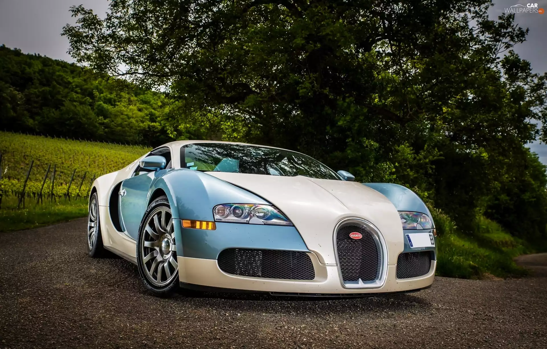 Bugatti Veyron, trees, viewes, Way