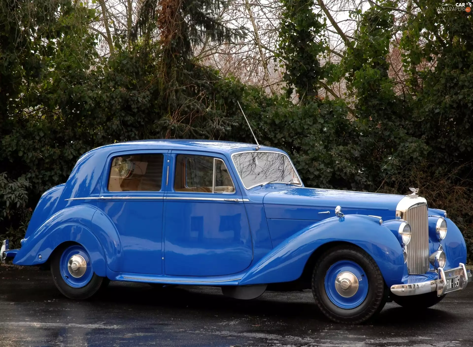 blue, Bentley Mark VI