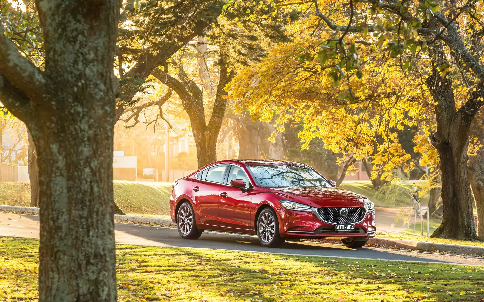 red hot, trees, viewes, Mazda 6
