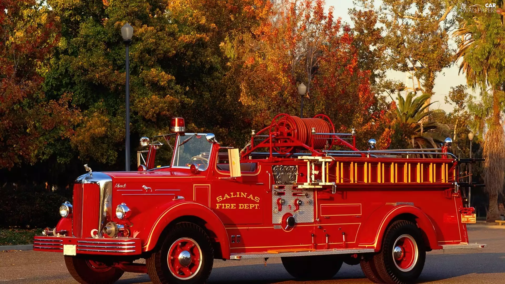 fire, antique, trees, viewes, Way, Automobile