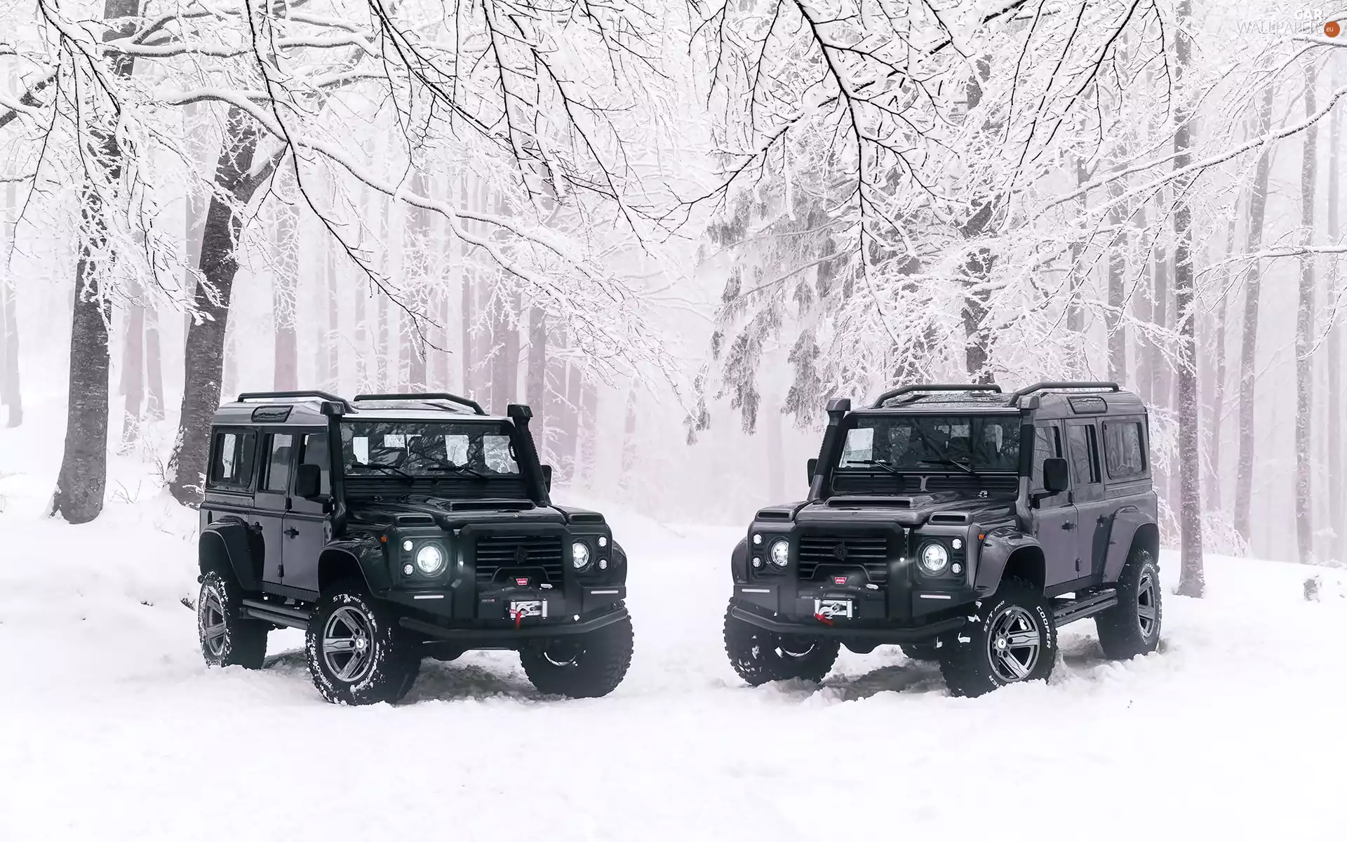 Land Rover Defender, 2018, winter, forest, viewes, Black, Two cars, trees