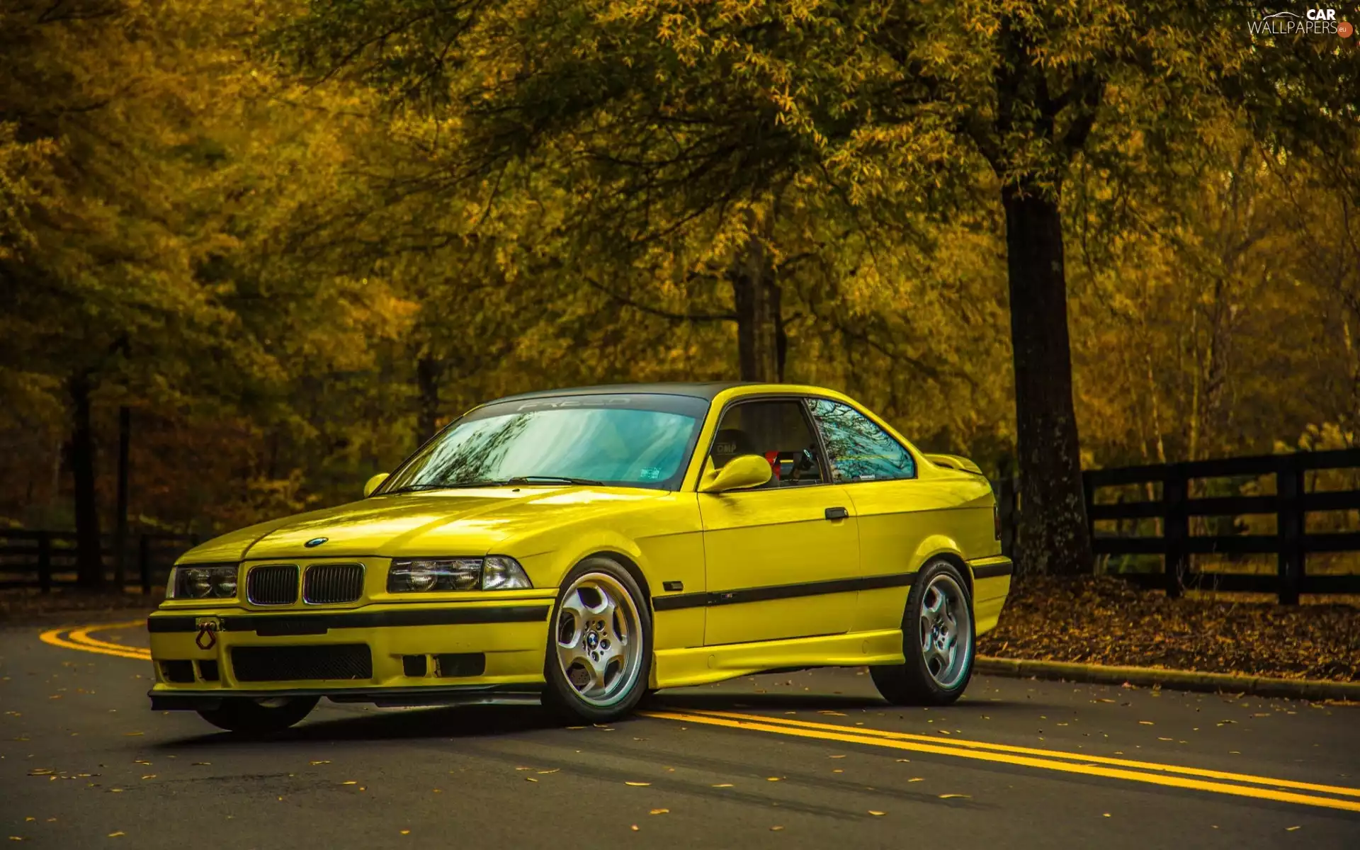 E36, Yellow, trees, viewes, road, BMW