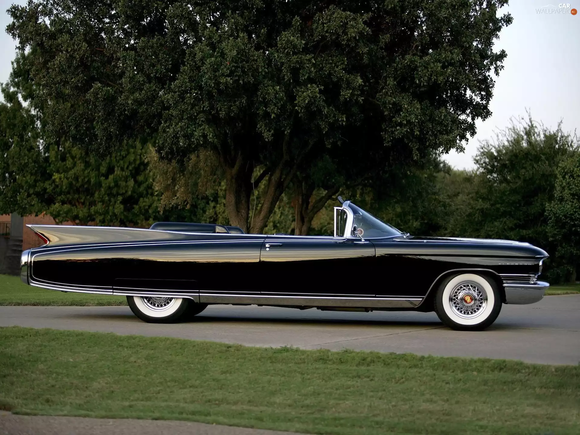 trees, viewes, Cadillac, Eldorado, antique