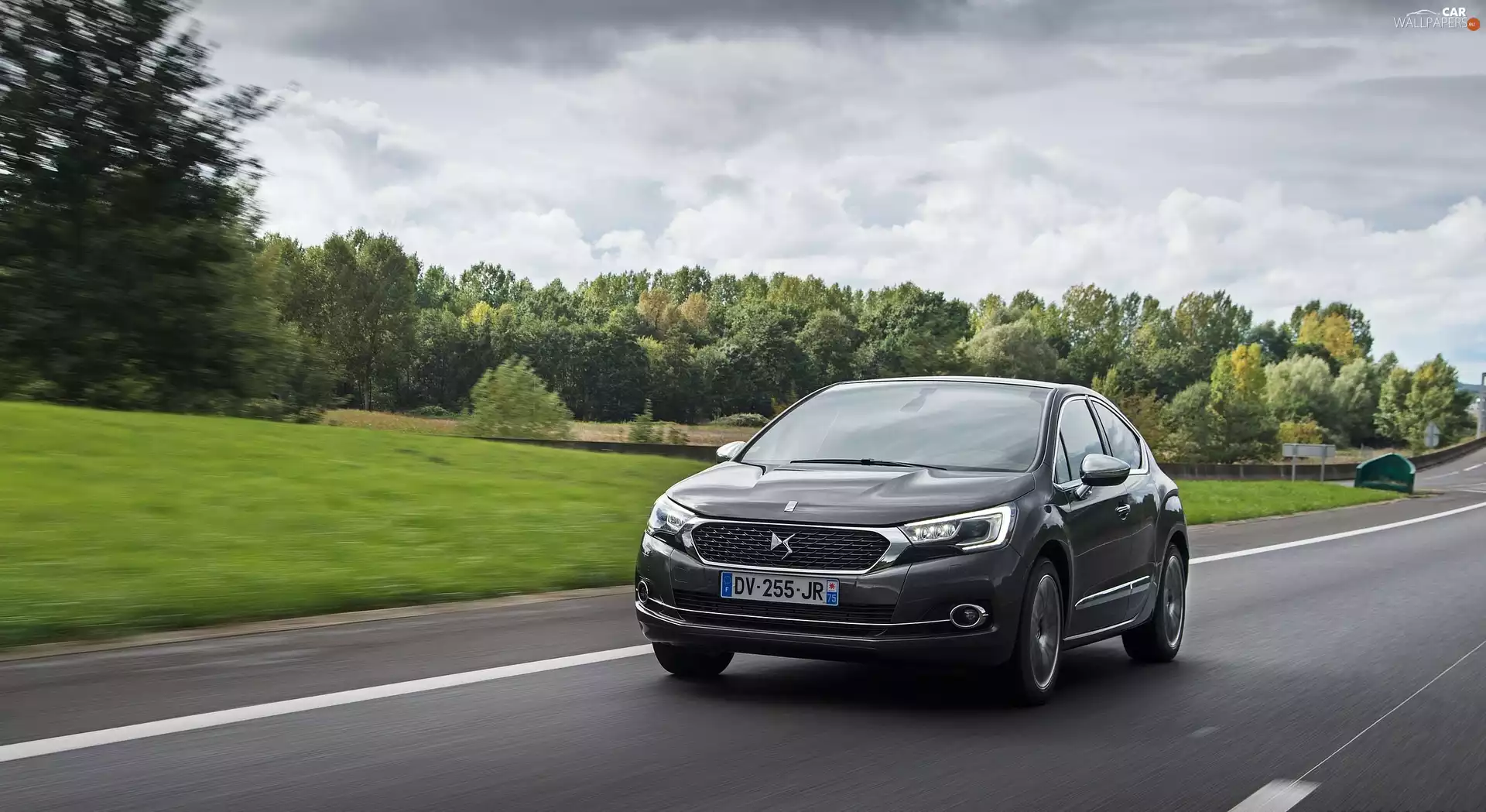 trees, viewes, DS4, Way, Citroen