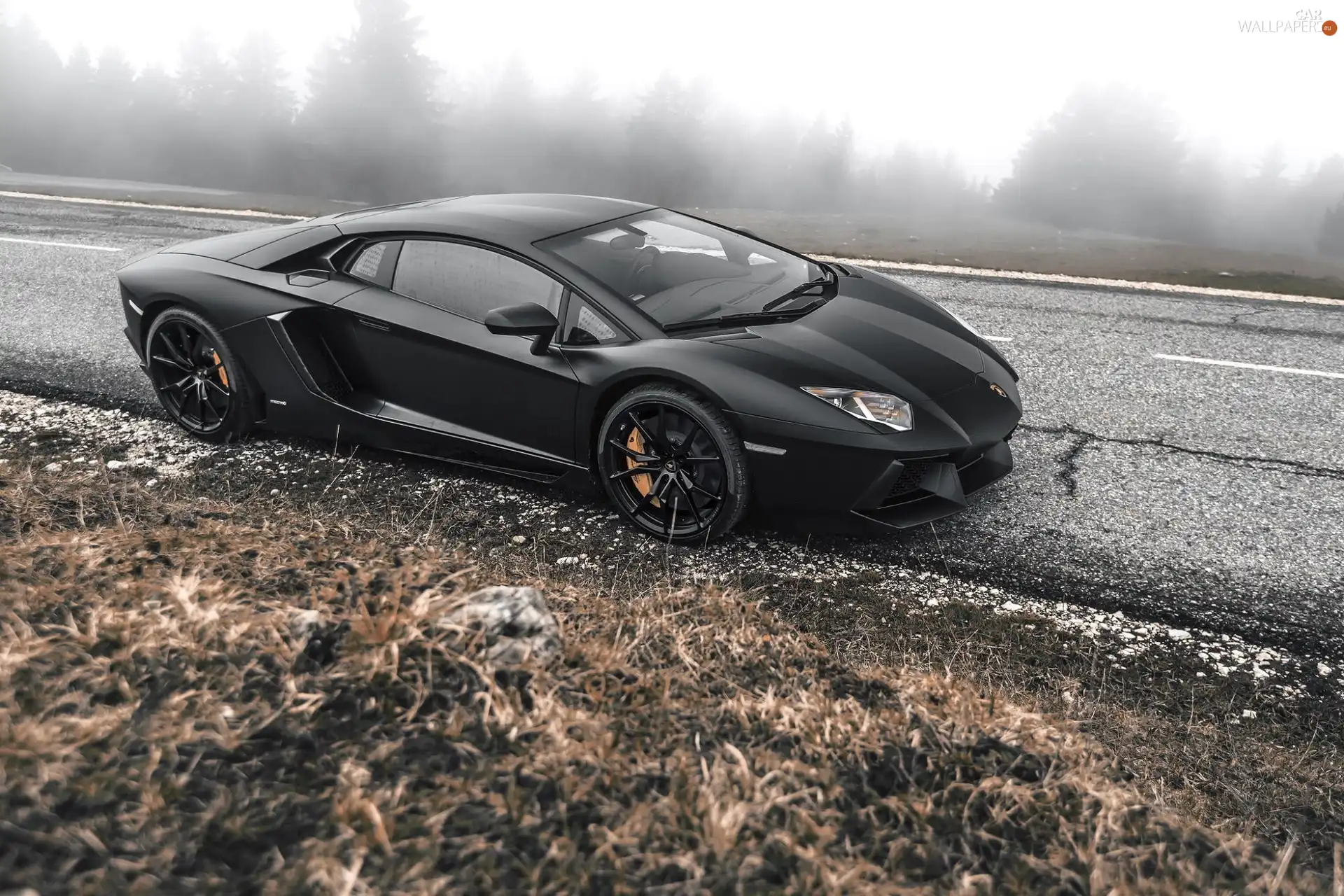 Way, Lamborghini, viewes, Fog, trees, Adventador