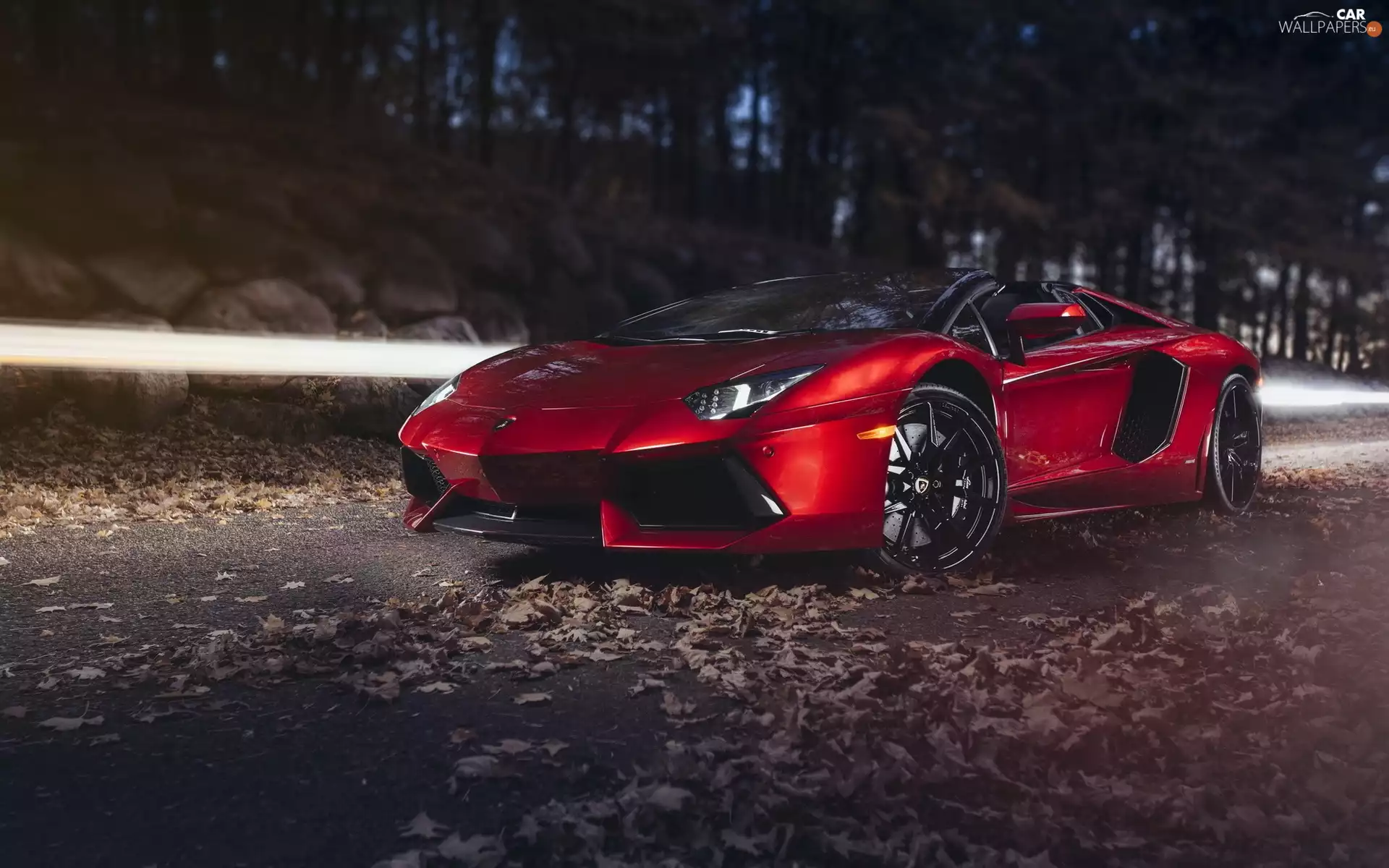 trees, viewes, Lamborghini, Street, Automobile