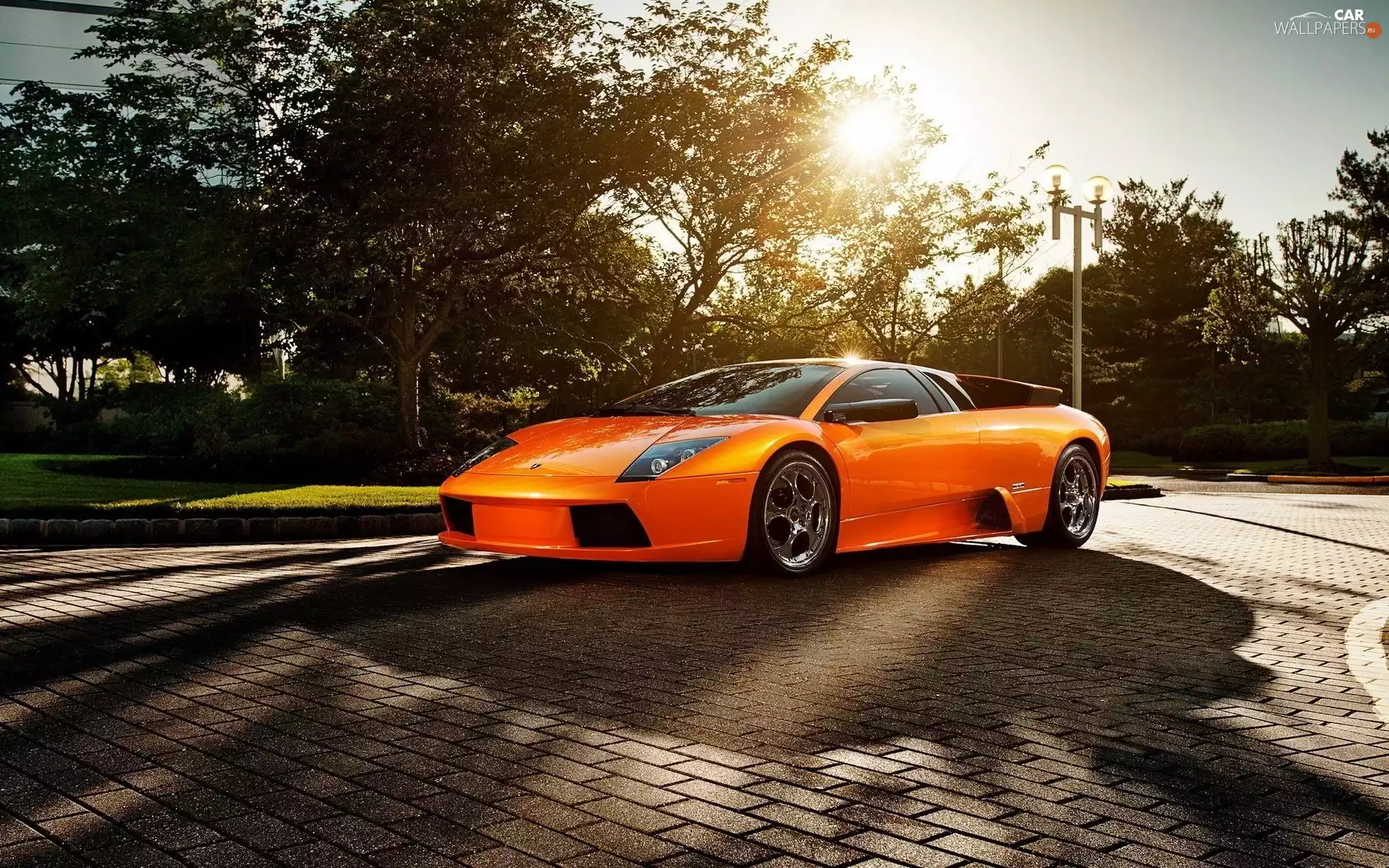 trees, viewes, Lamborghini, Street, Orange