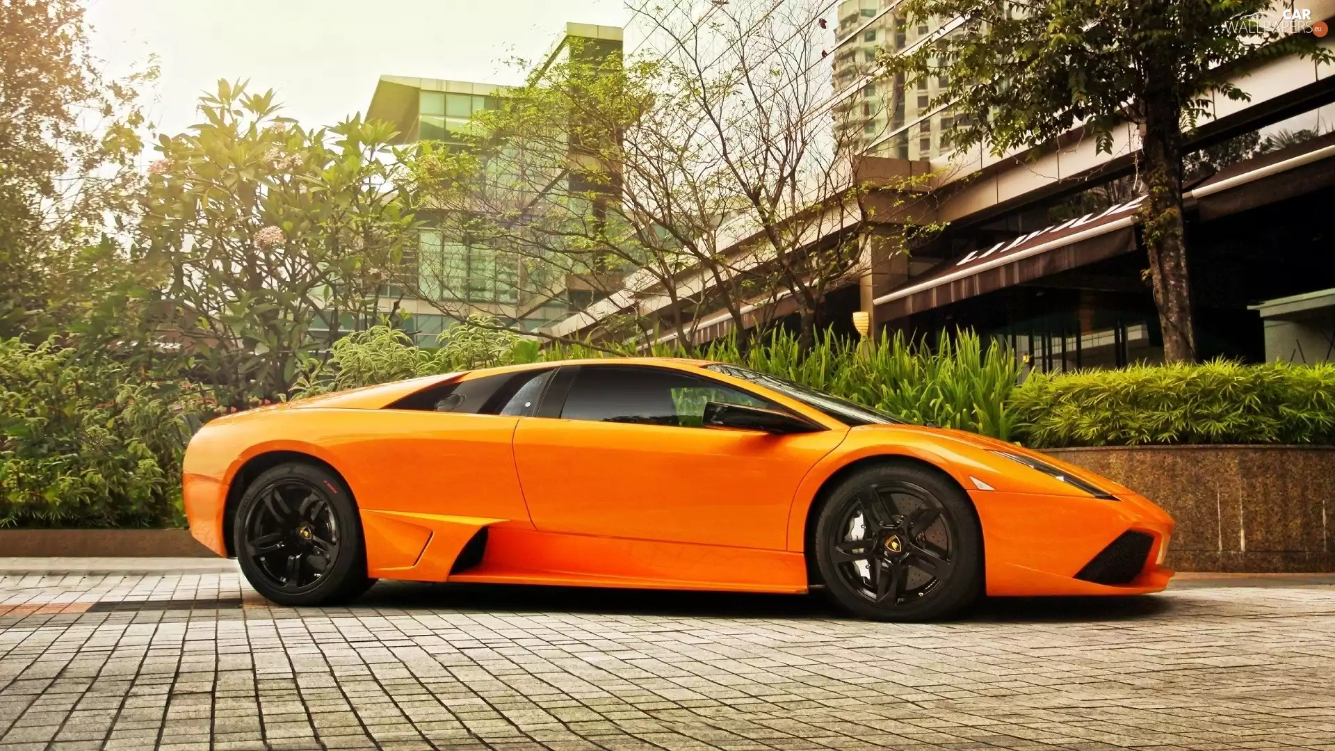 trees, viewes, Murcielago, house, Lamborghini