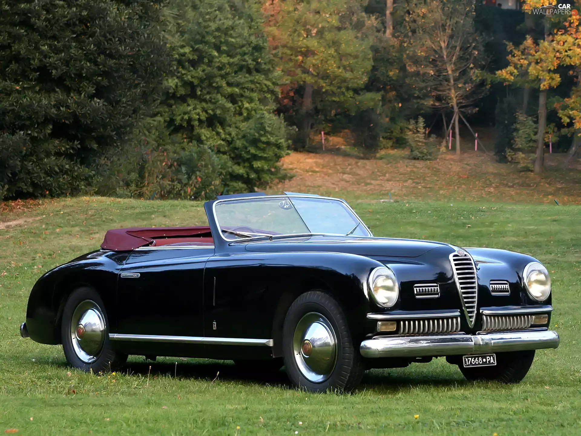 6c, Historical, trees, viewes, Meadow, Alfa Romeo