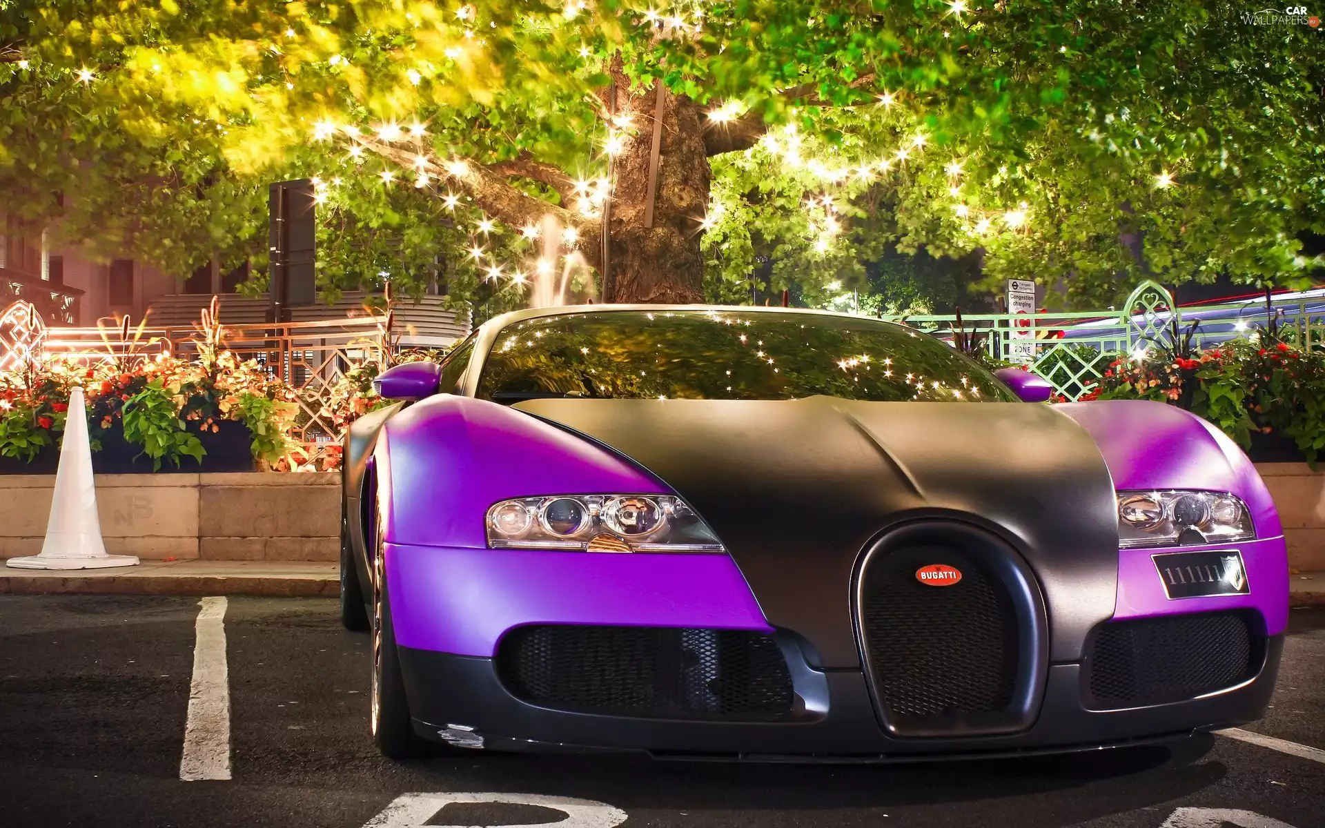 Violet, Bugatti Veyron