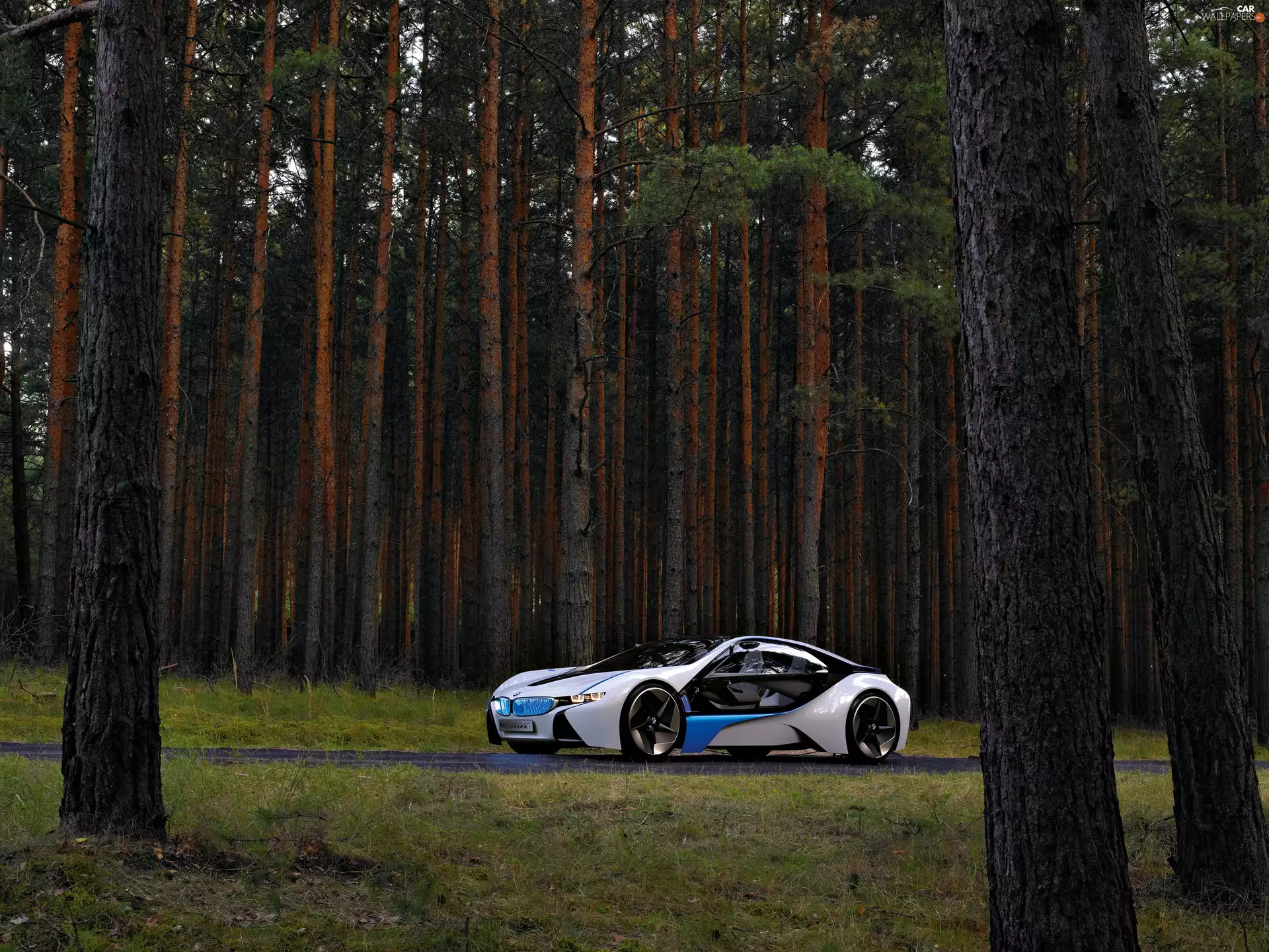 BMW Vision Efficient Dynamics, forest