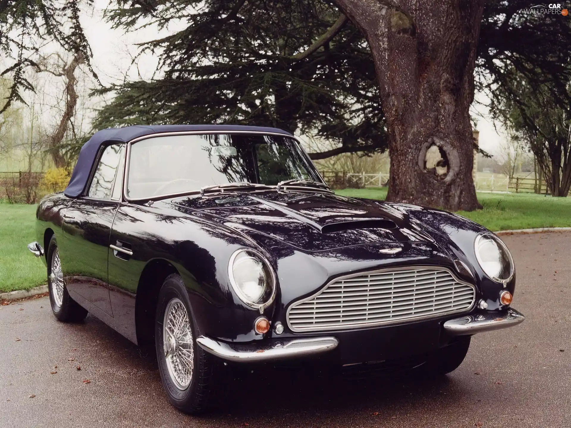 Aston Martin DB6, Volante