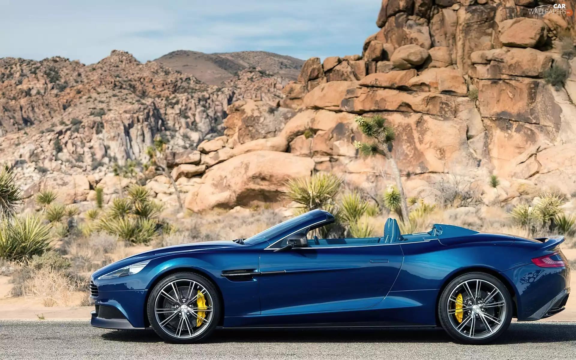 rocks, Plants, Vanquish, Volante, Aston Martin