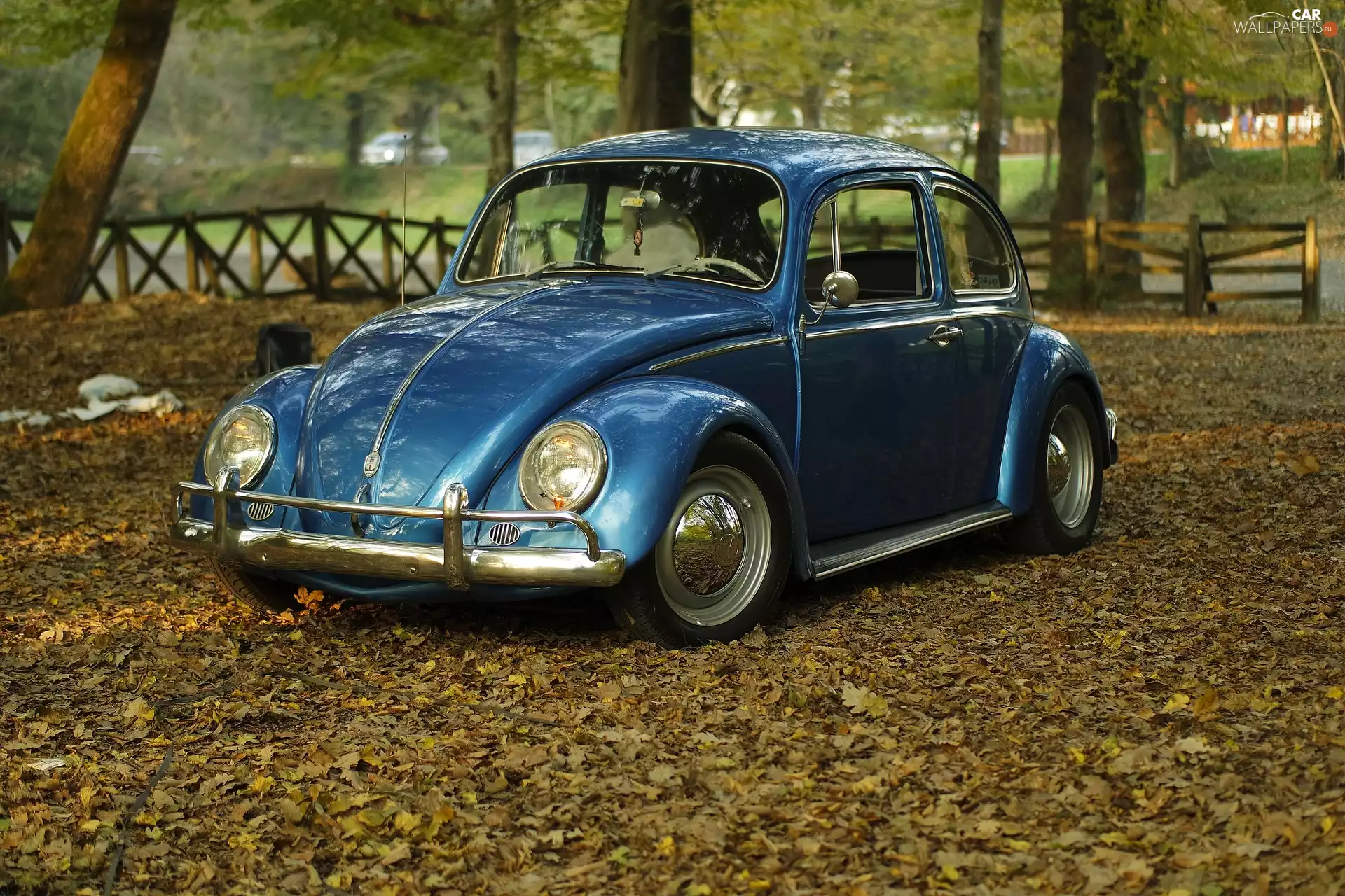 Park, Volkswagen Beetle, New Beetles