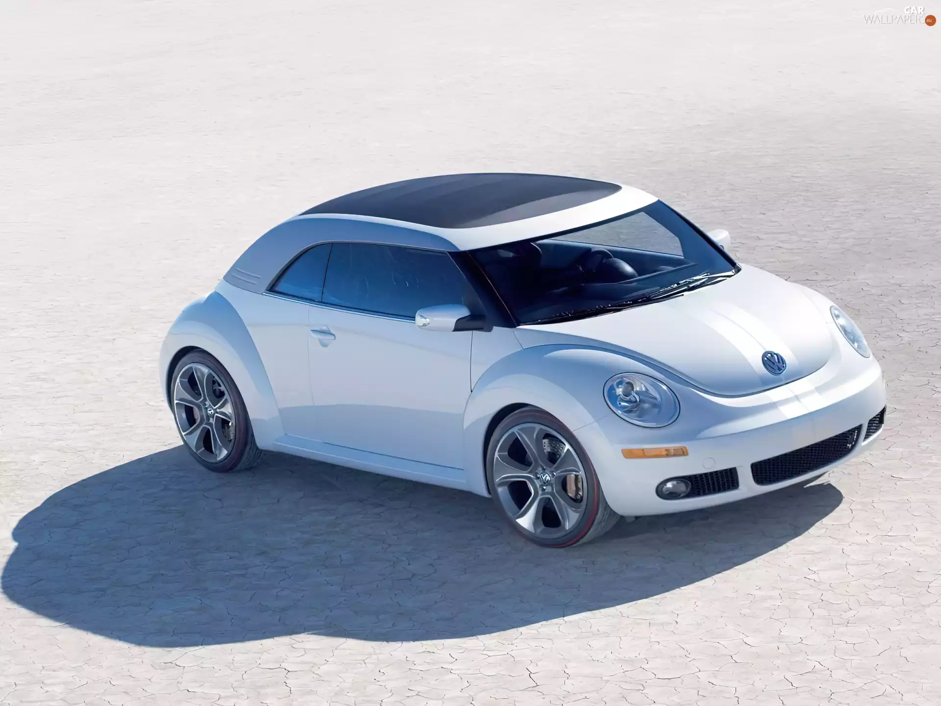 Volkswagen New Beetle