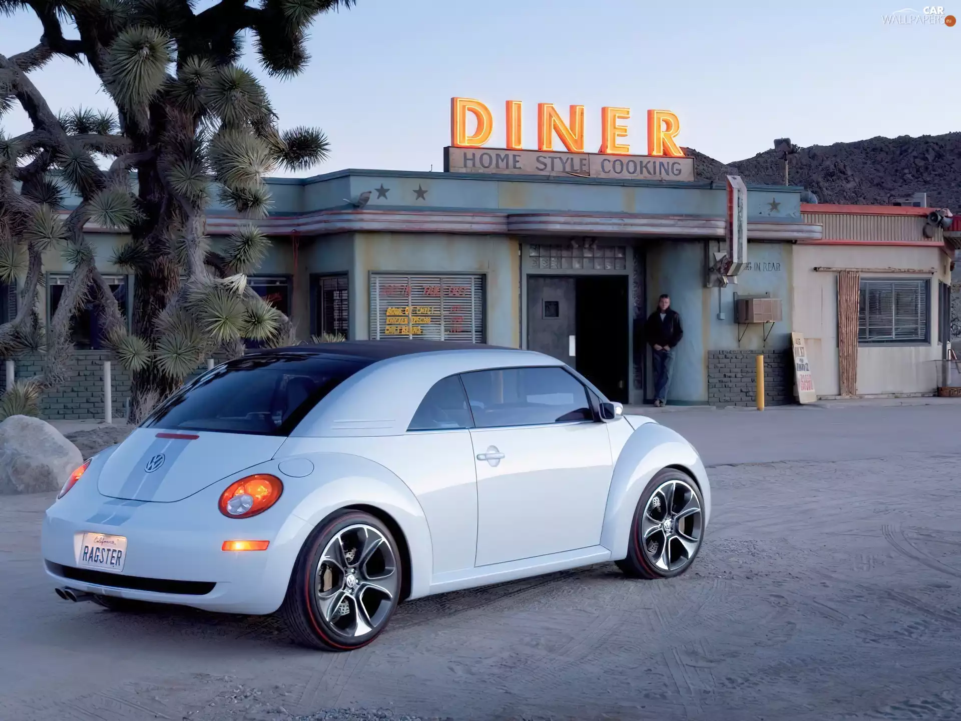 Volkswagen New Beetle