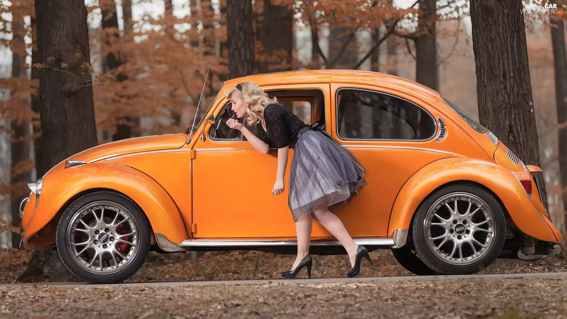 forest, Volkswagen, New Beetles, Women
