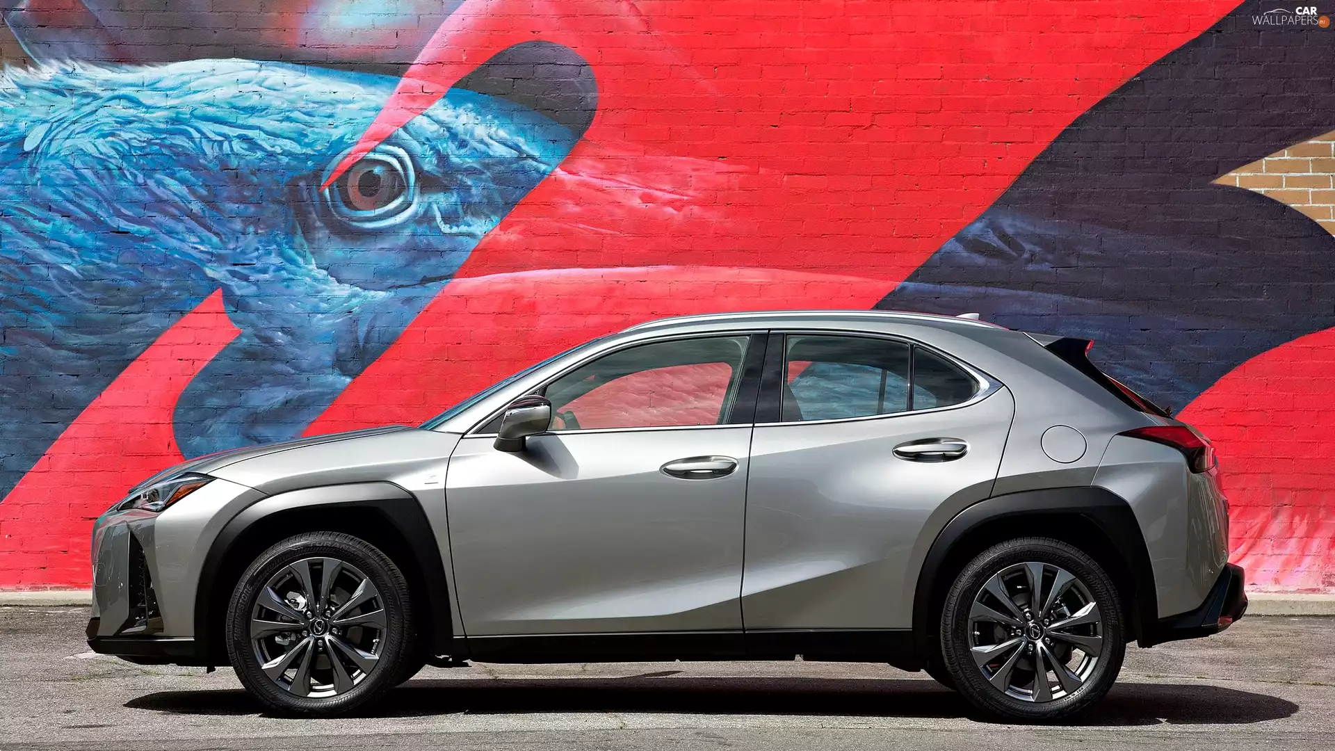 Graffiti, Lexus UX200, wall