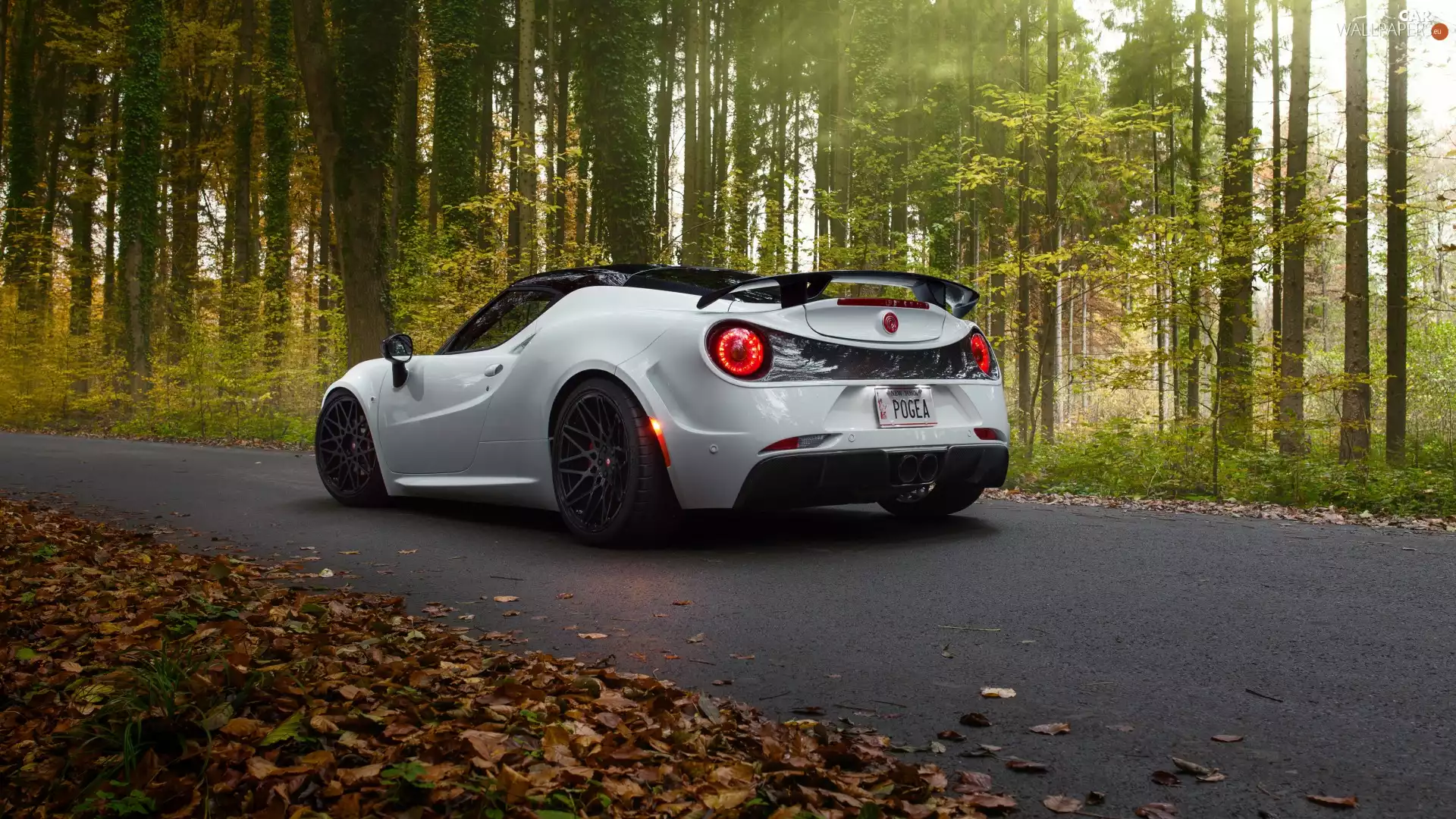 Way, forest, Pogea Racing Centurion, 2015, Alfa Romeo 4C