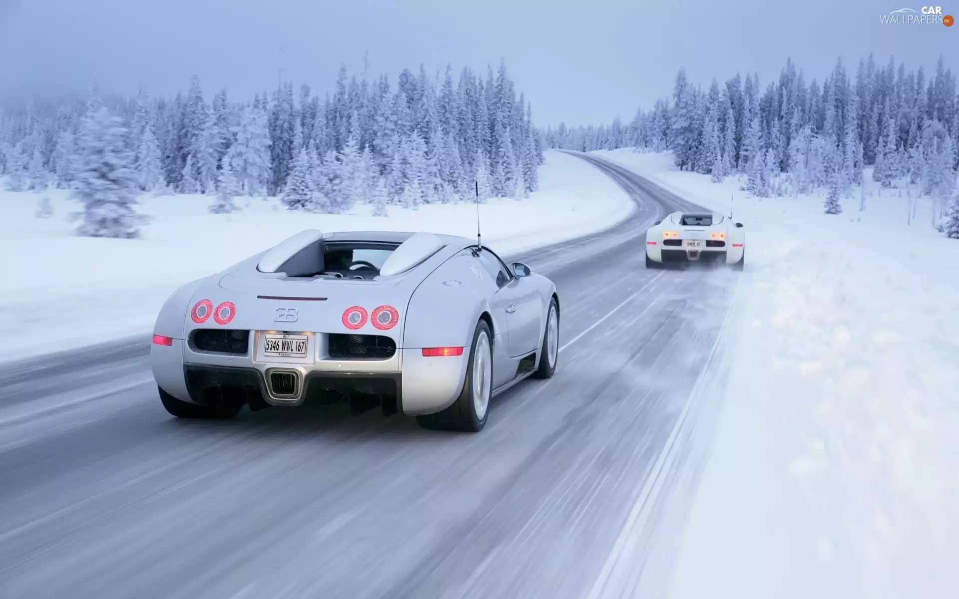 Bugatti, woods, winter, Way