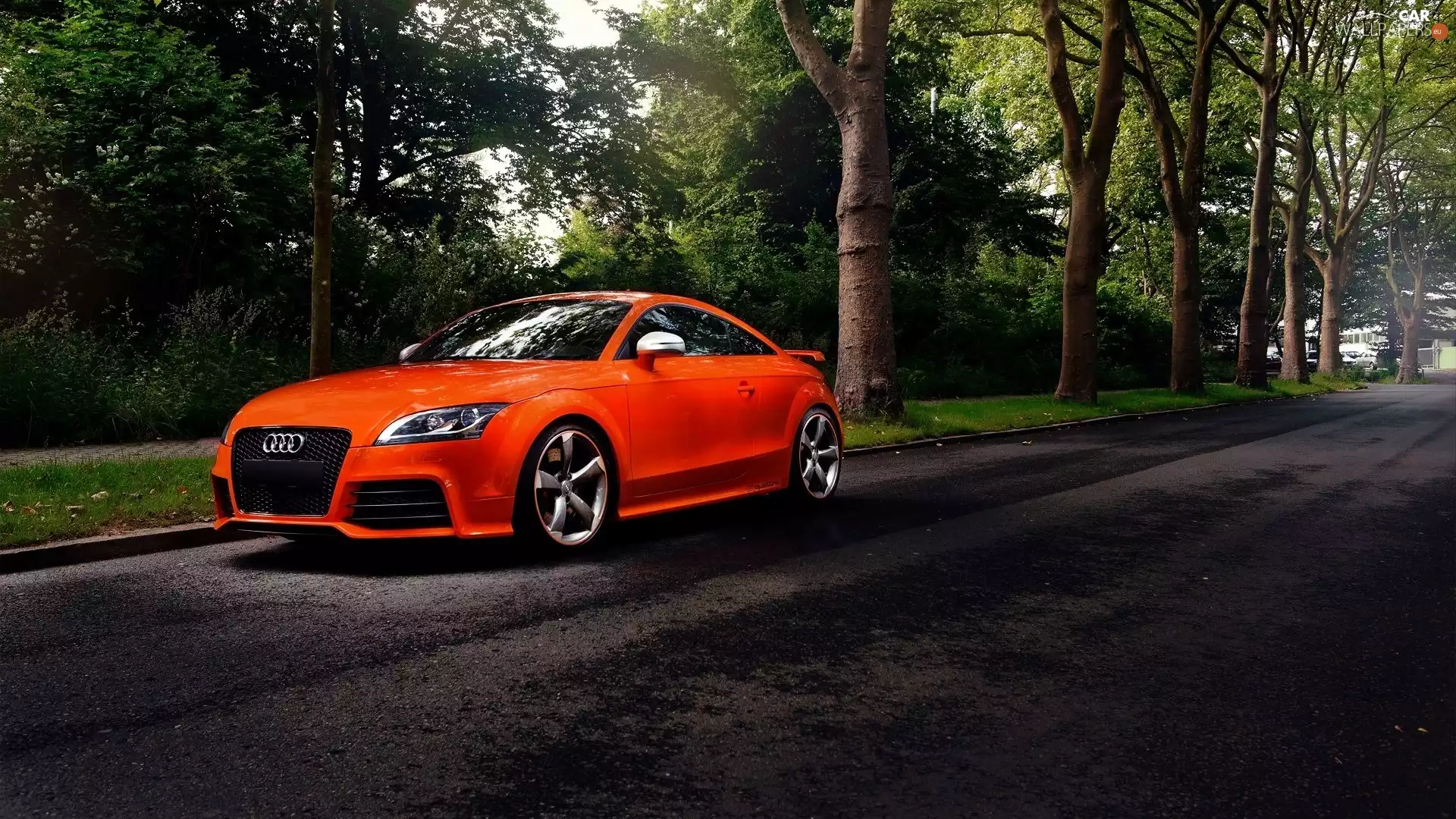 Orange, Way, forest, Audi TT