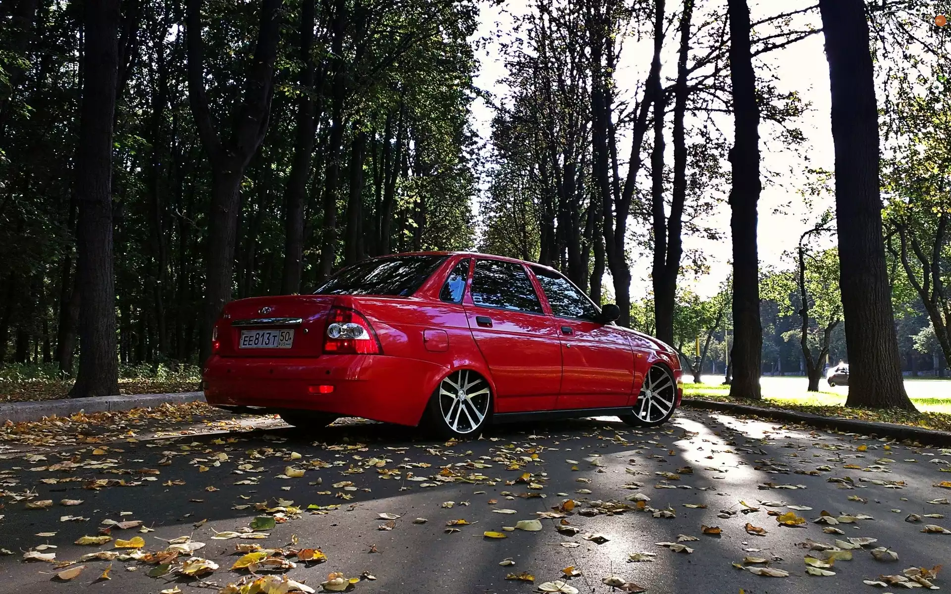 autumn, red hot, Way, Leaf, Park, Lada