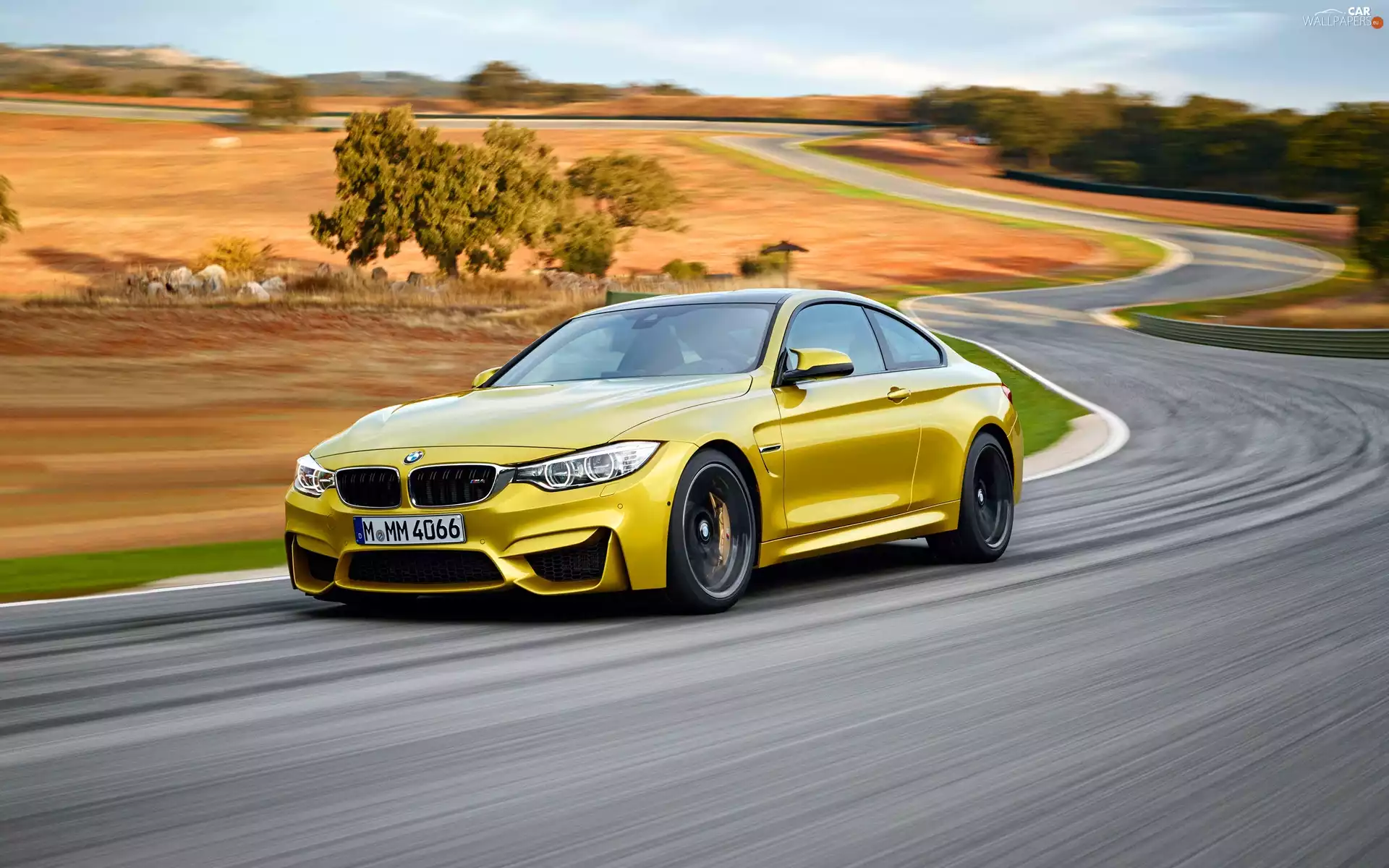 Way, BMW, M4