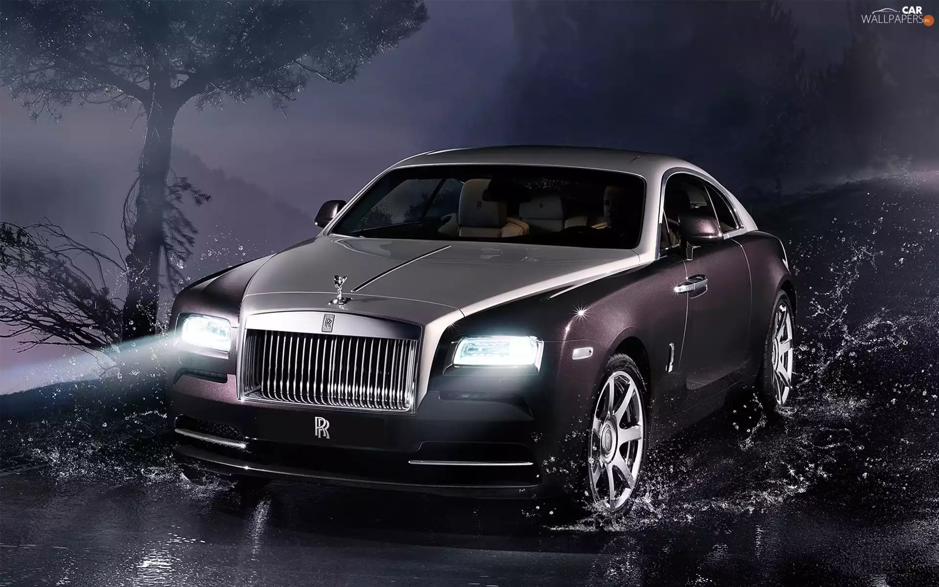 trees, puddle, Wraith, Way, Rolls Royce