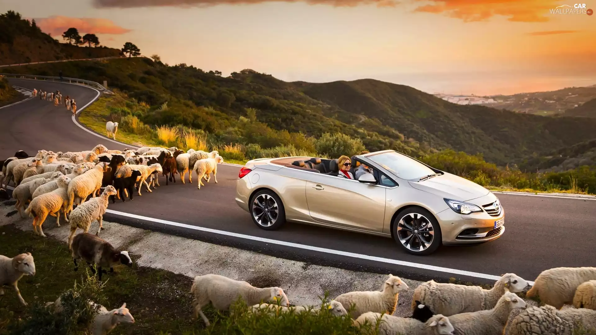 Cascada, Sheep, sun, Mountains, west, Opel, Automobile, Way