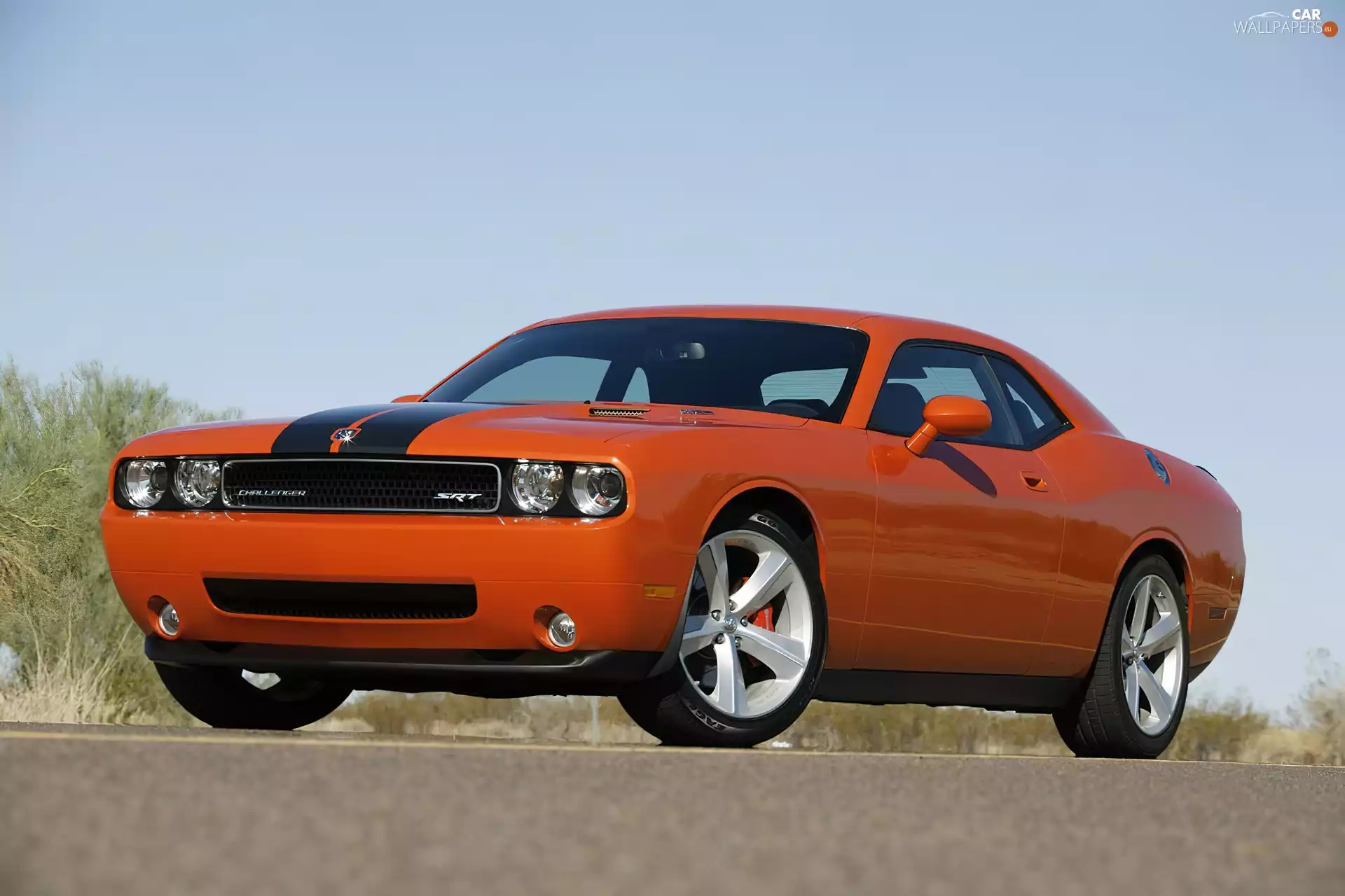 asphalt, Dodge Challenger, wheel