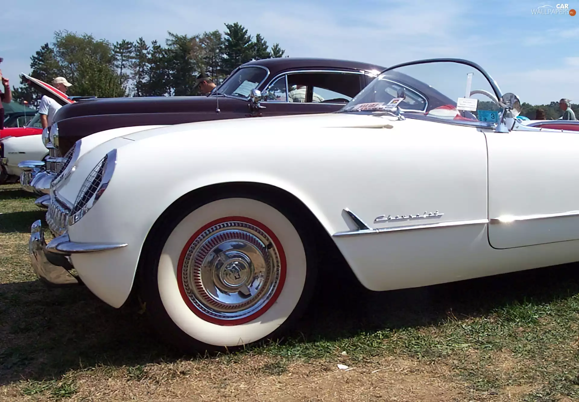 Chevrolet, tires, windshield, wheel