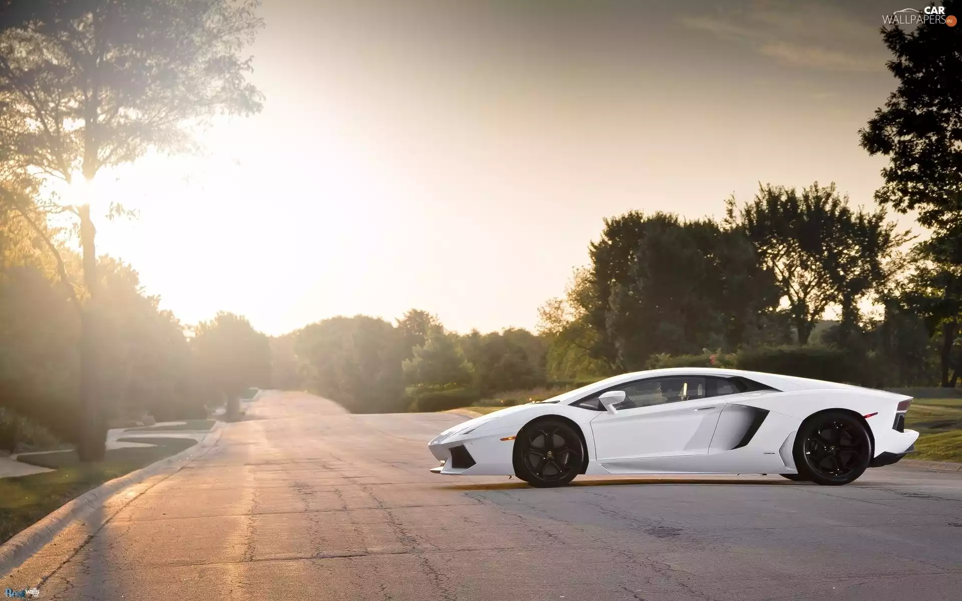 White, Lamborghini Aventador