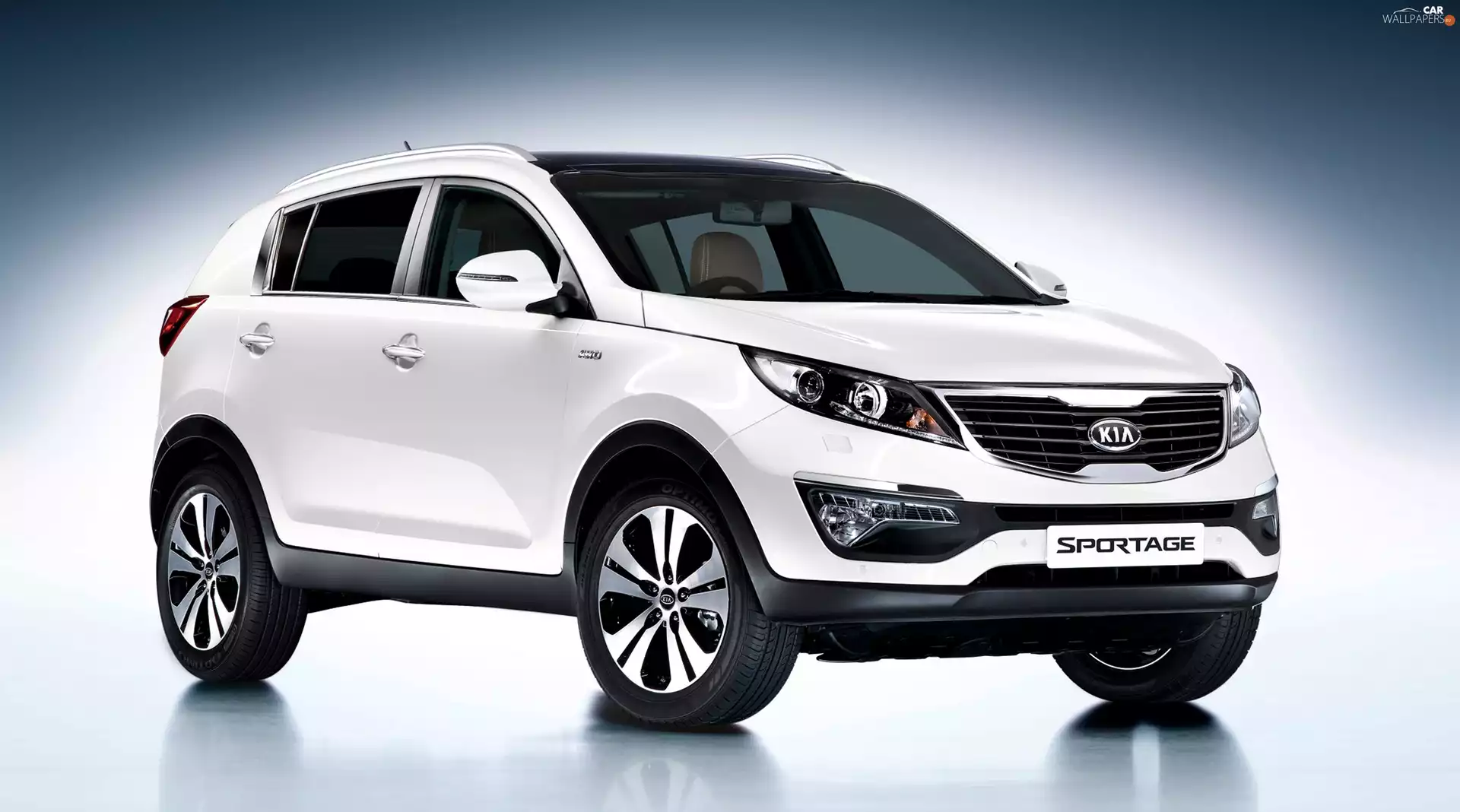 White, Sportage, Kia