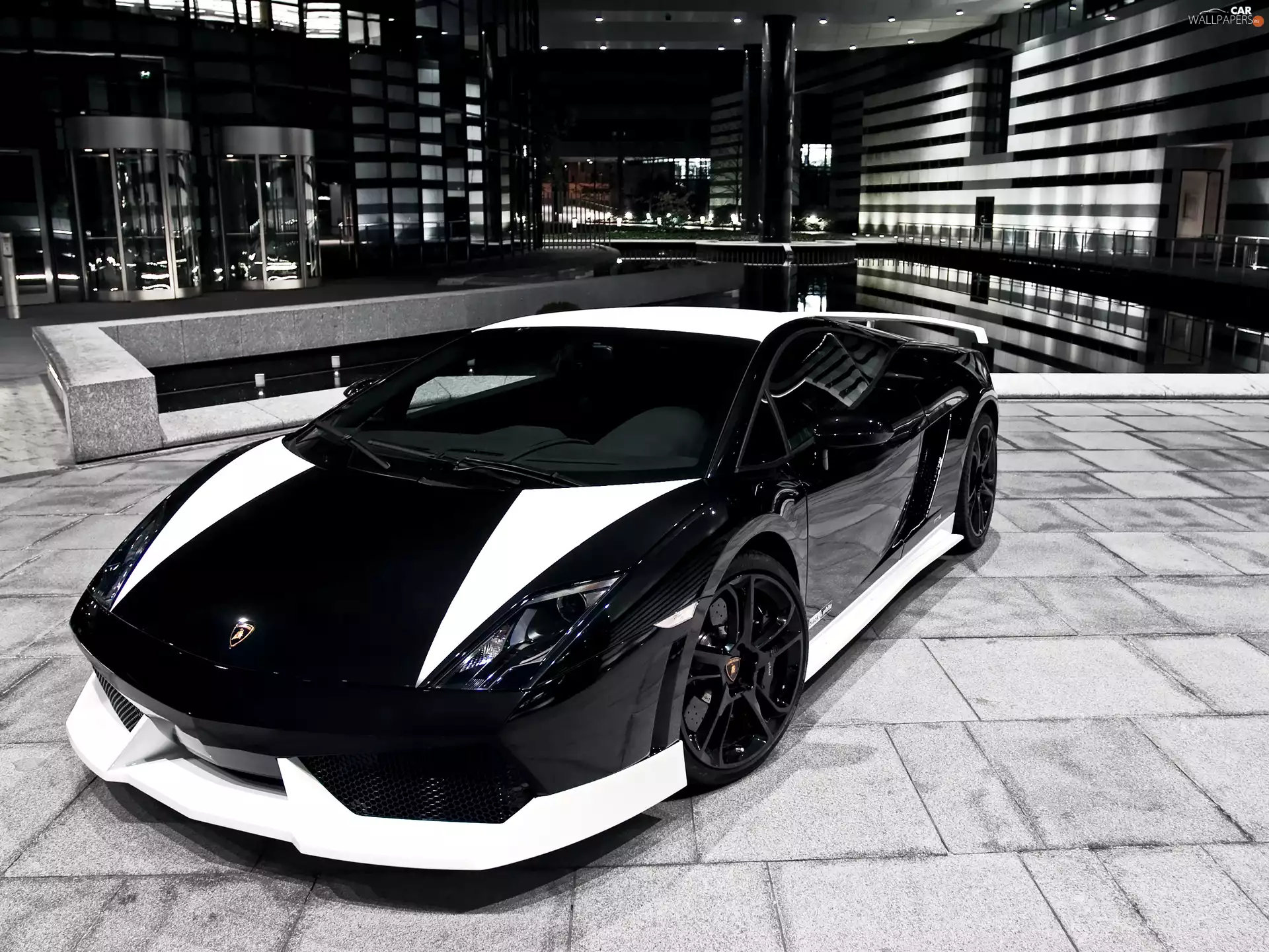 Lamborghini Gallardo, black, White