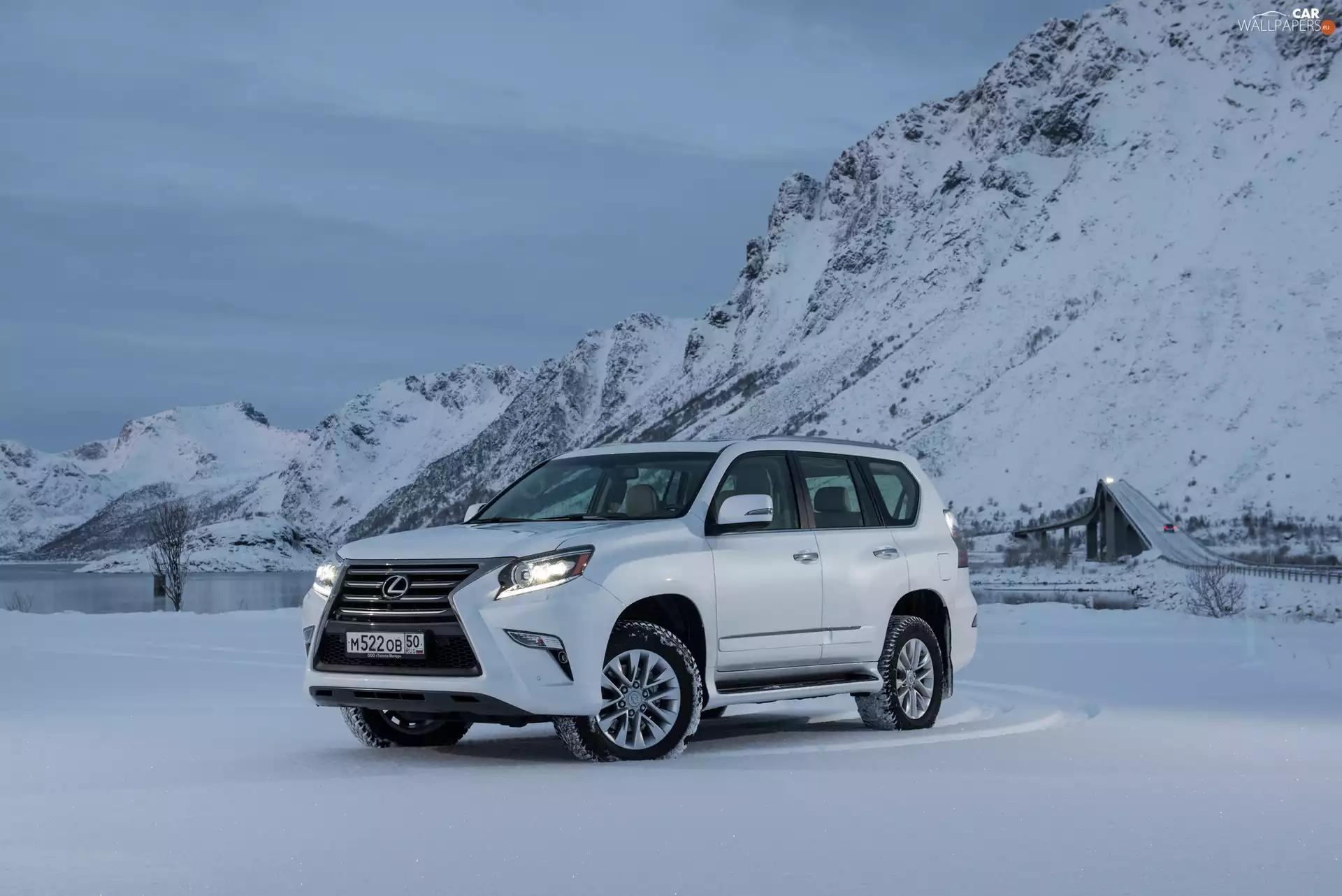 2014, White, Lexus GX 460