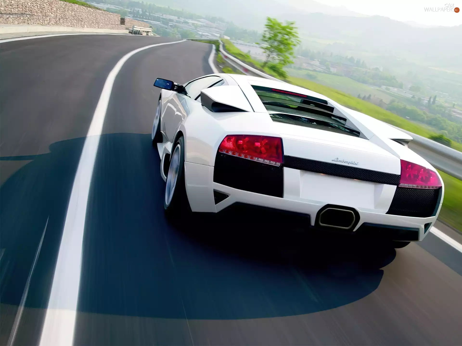 White, Lamborghini Murcielago