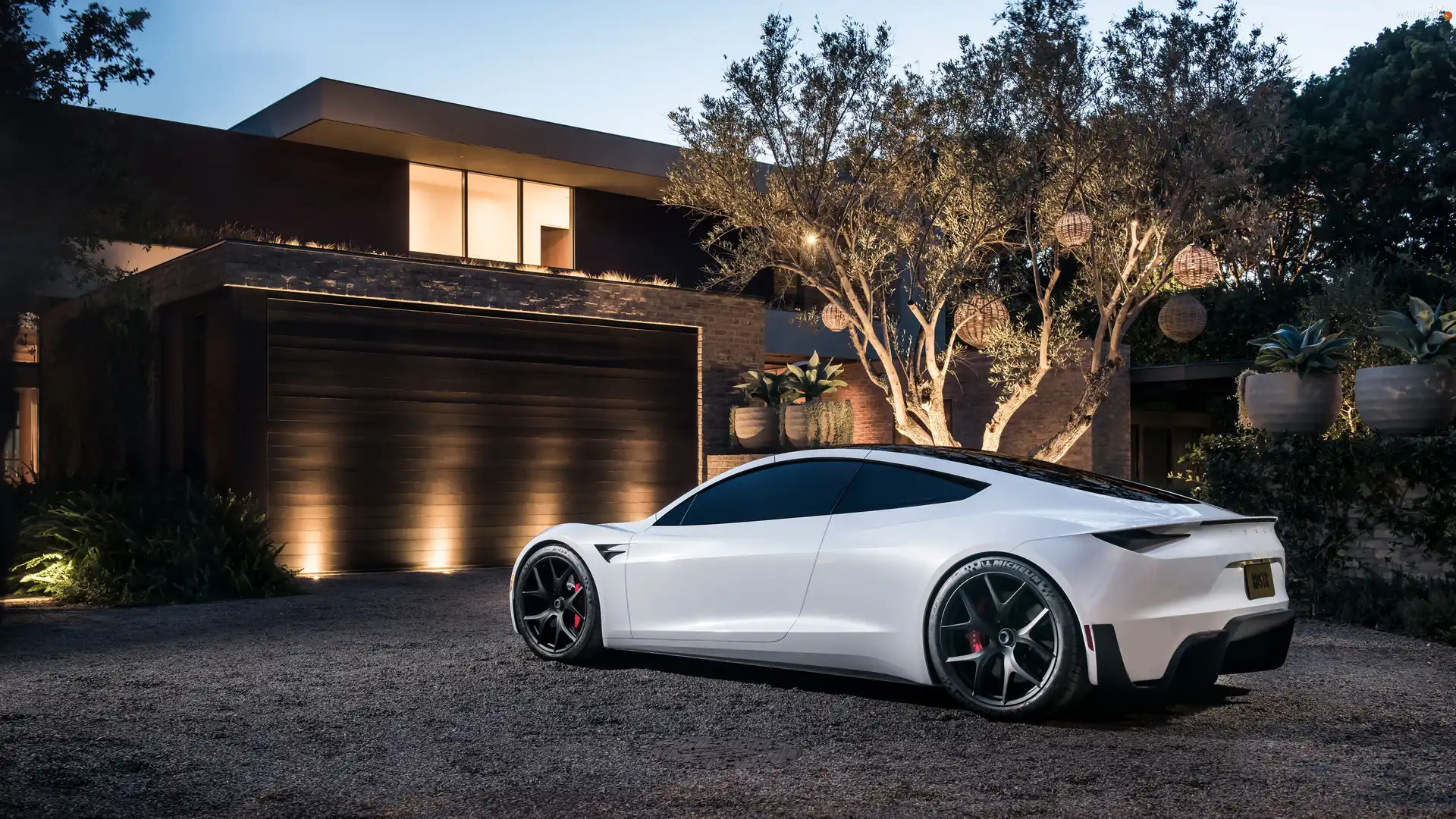 White, Tesla Roadster