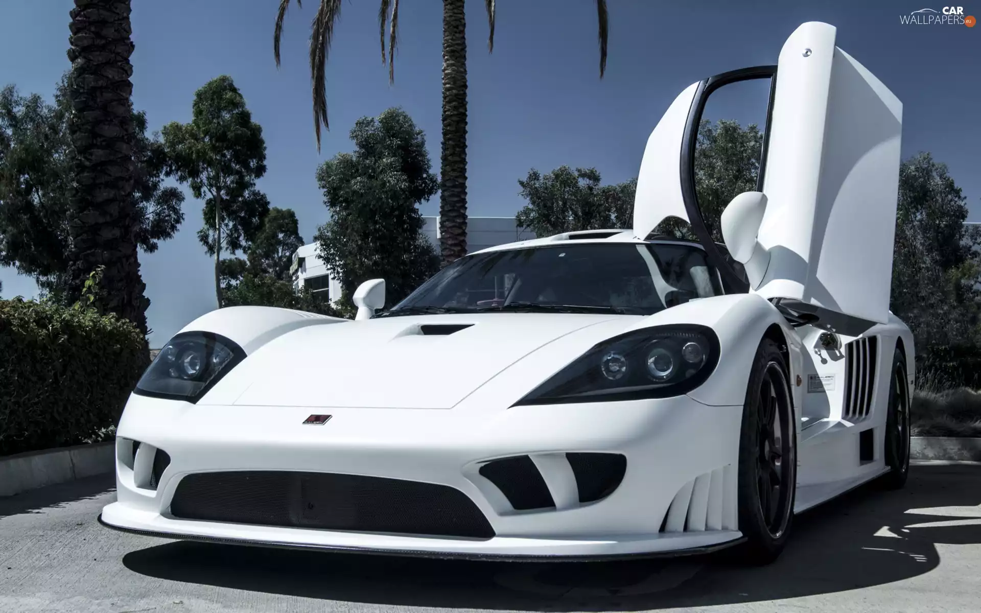 White, Saleen
