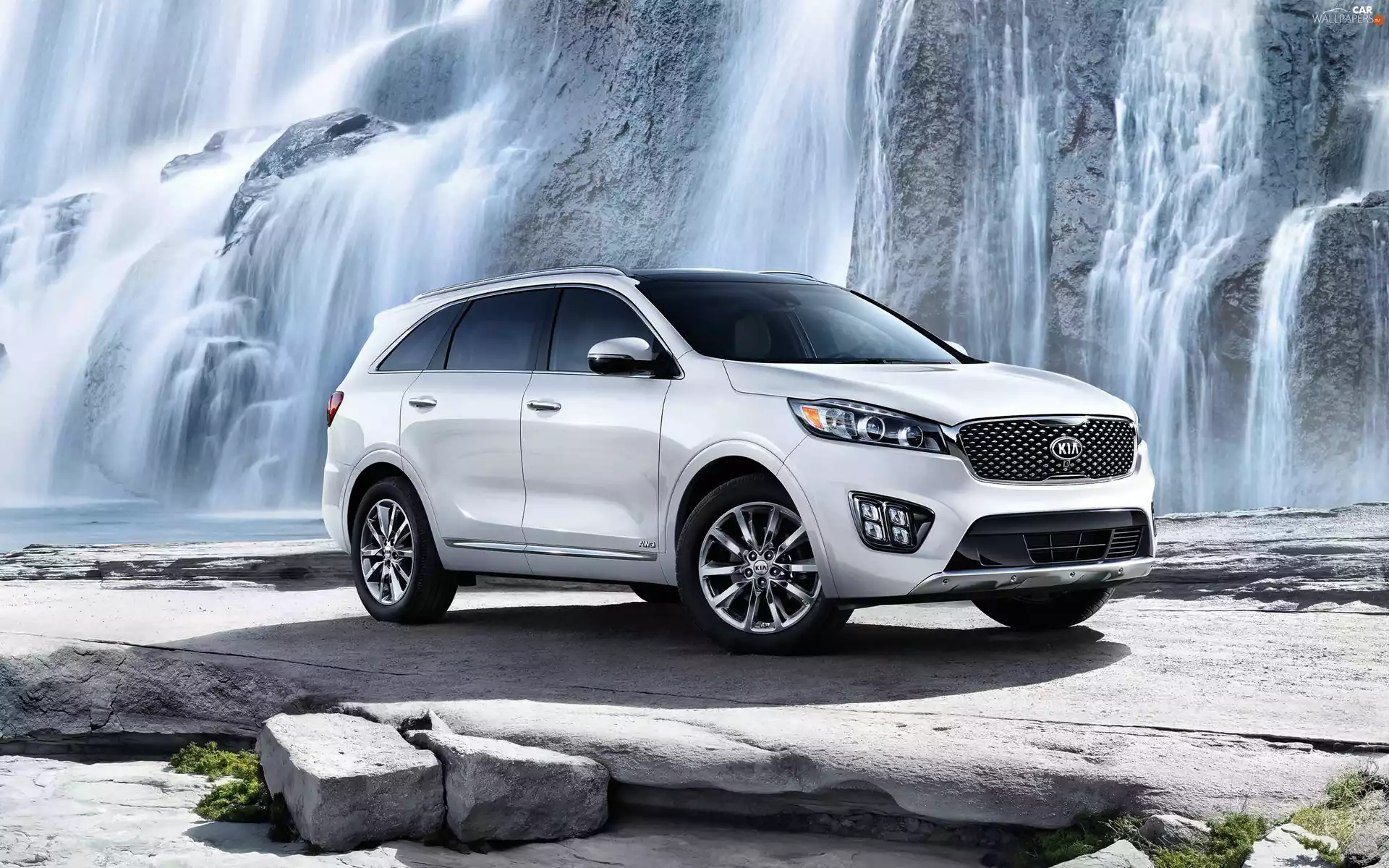 White, Kia Sorento